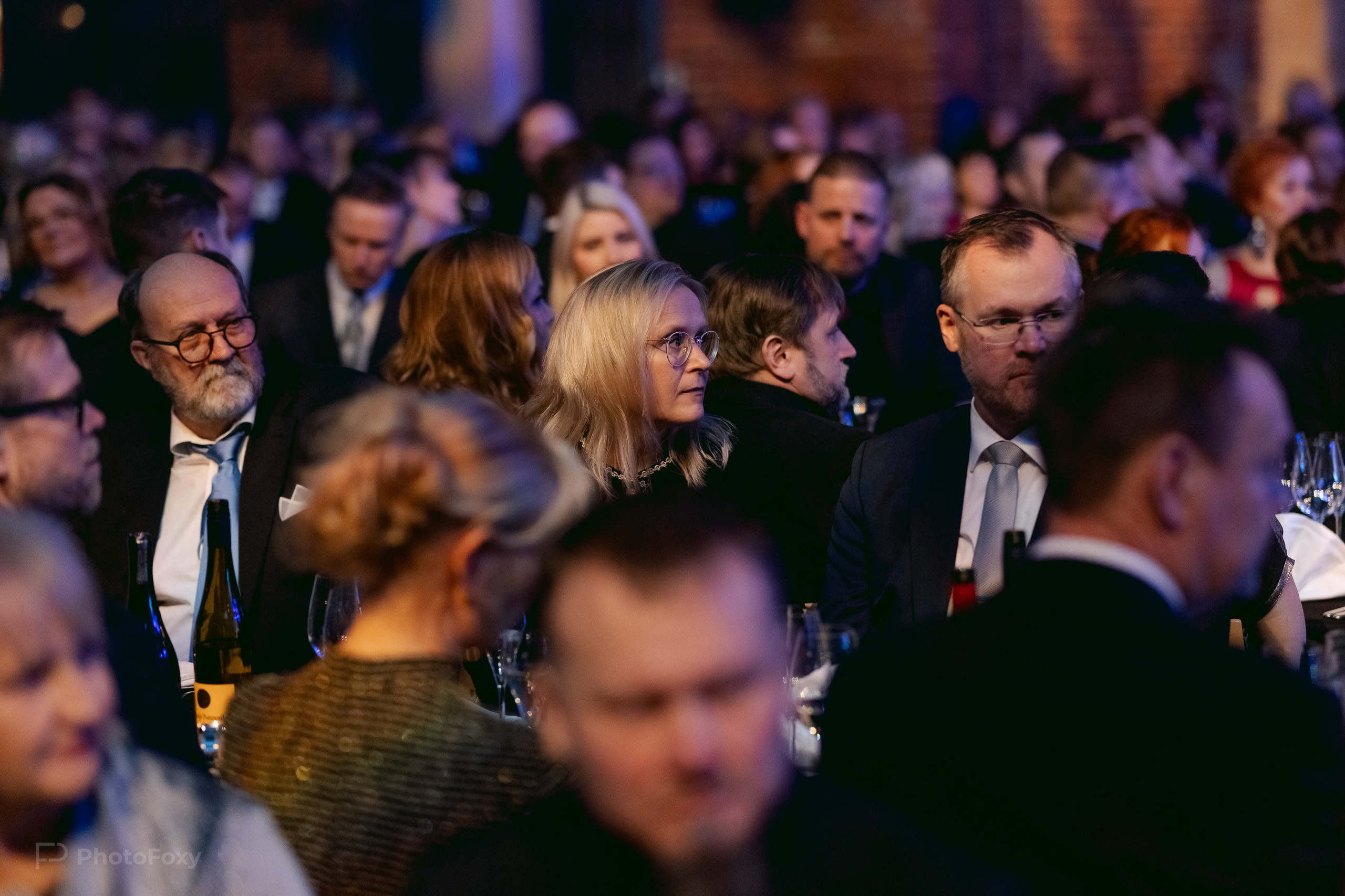 Maakunnallinen Yrittäjäjuhla. Valokuvaaja Lahti, Helsinki Elena Salonen