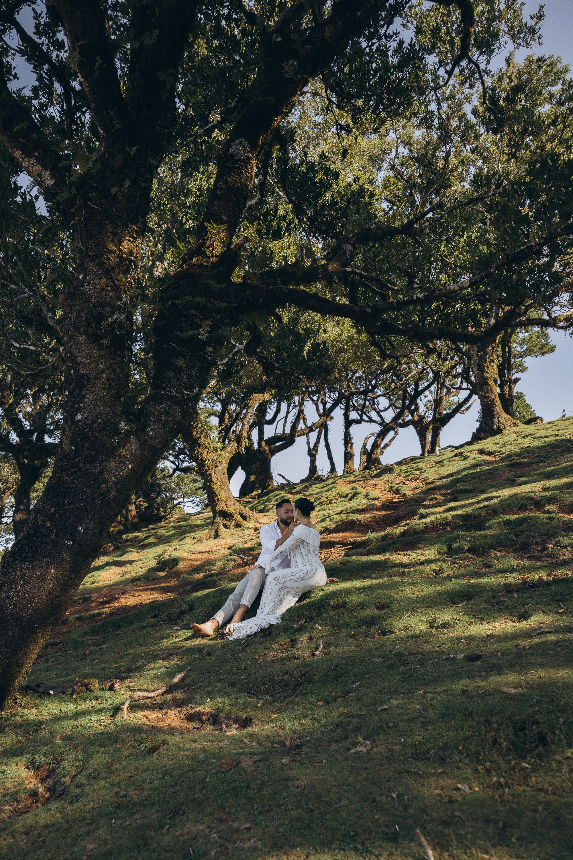 Maternity Photoshoot at Fanal Forest, Madeira
