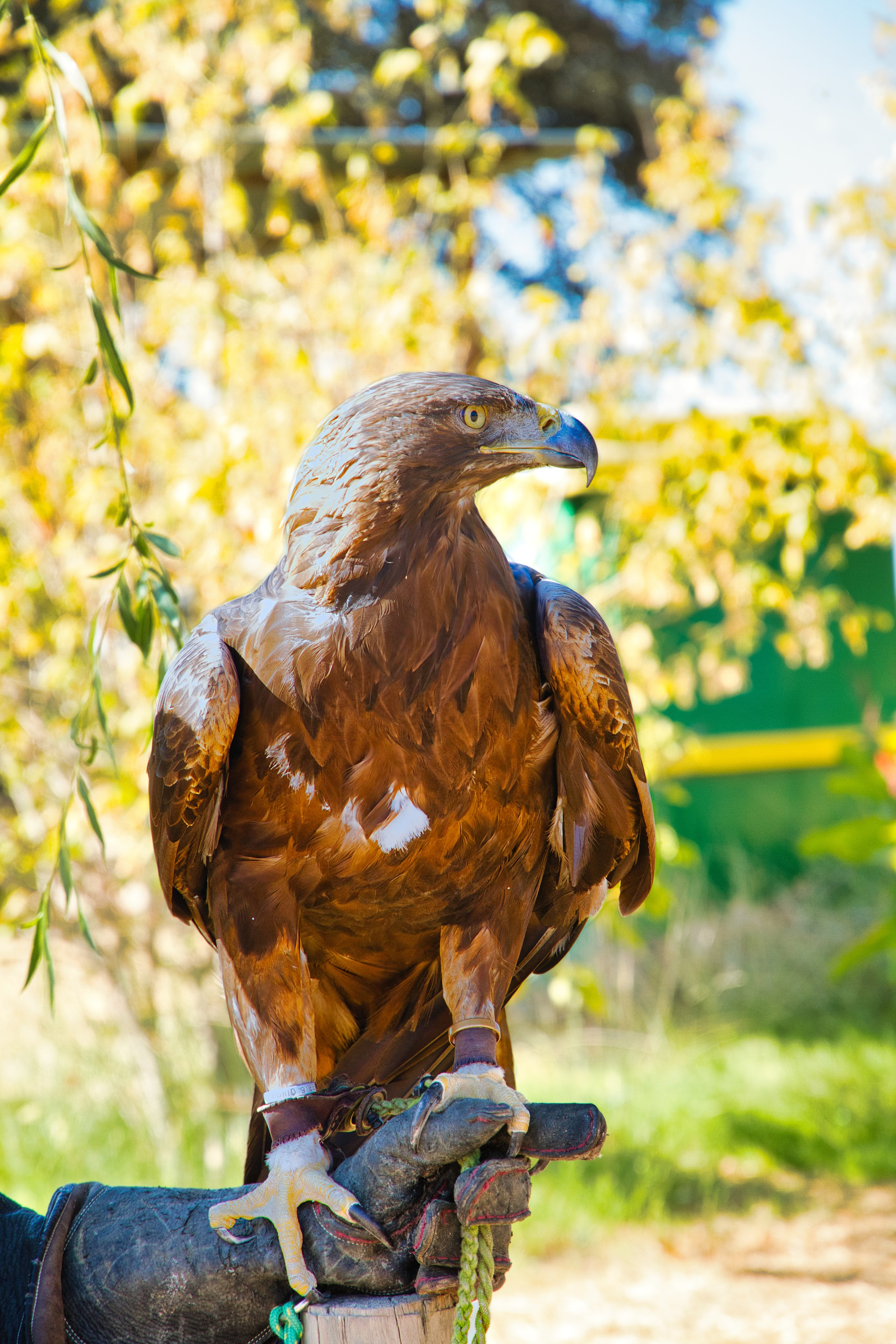 Fotógrafo. Fotógrafo de bodas, familiar, niños y modelos en Madrid, Julio César Bustamante