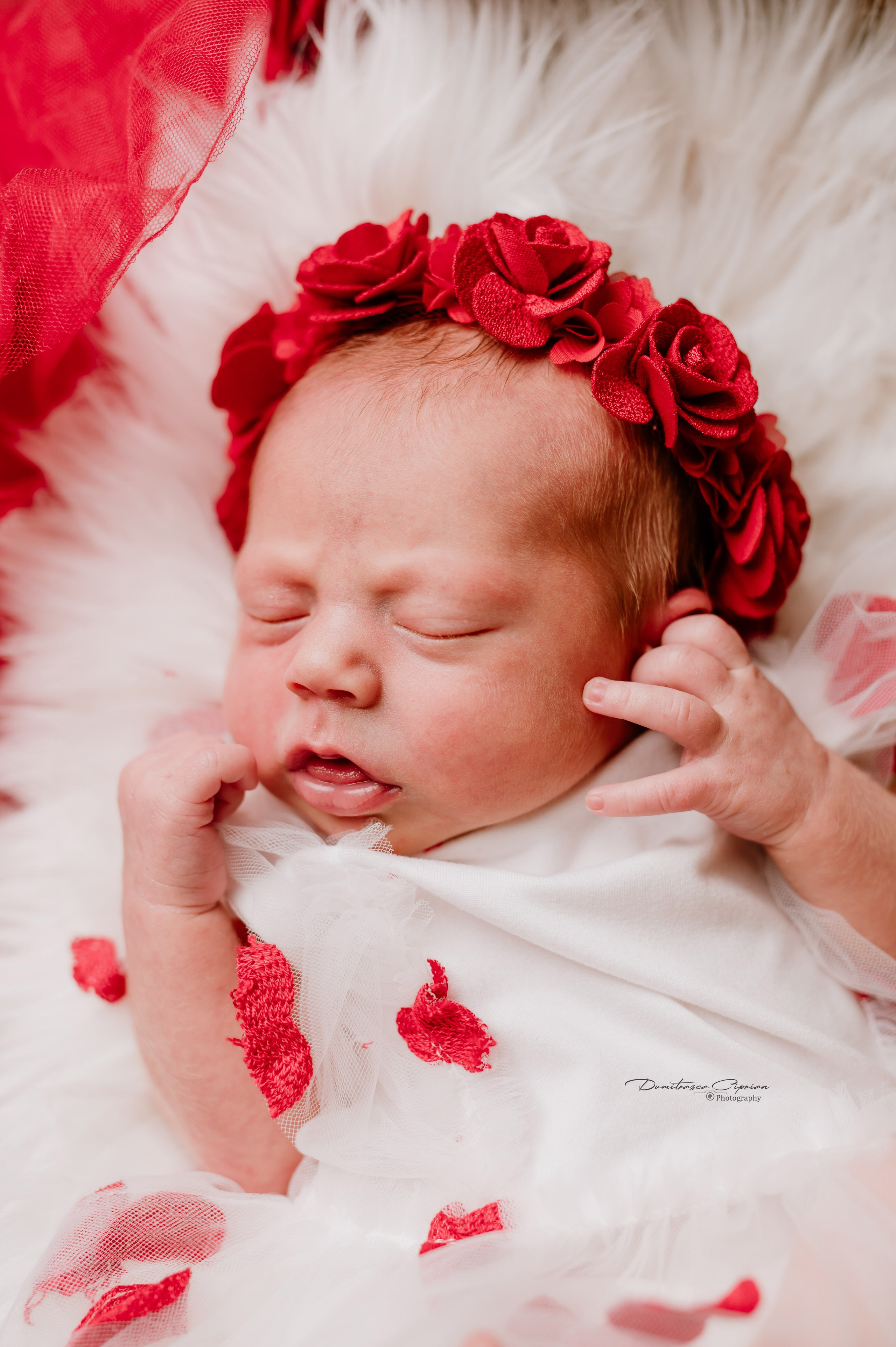 A sweet little angel. Dumitrasca Ciprian Photography
