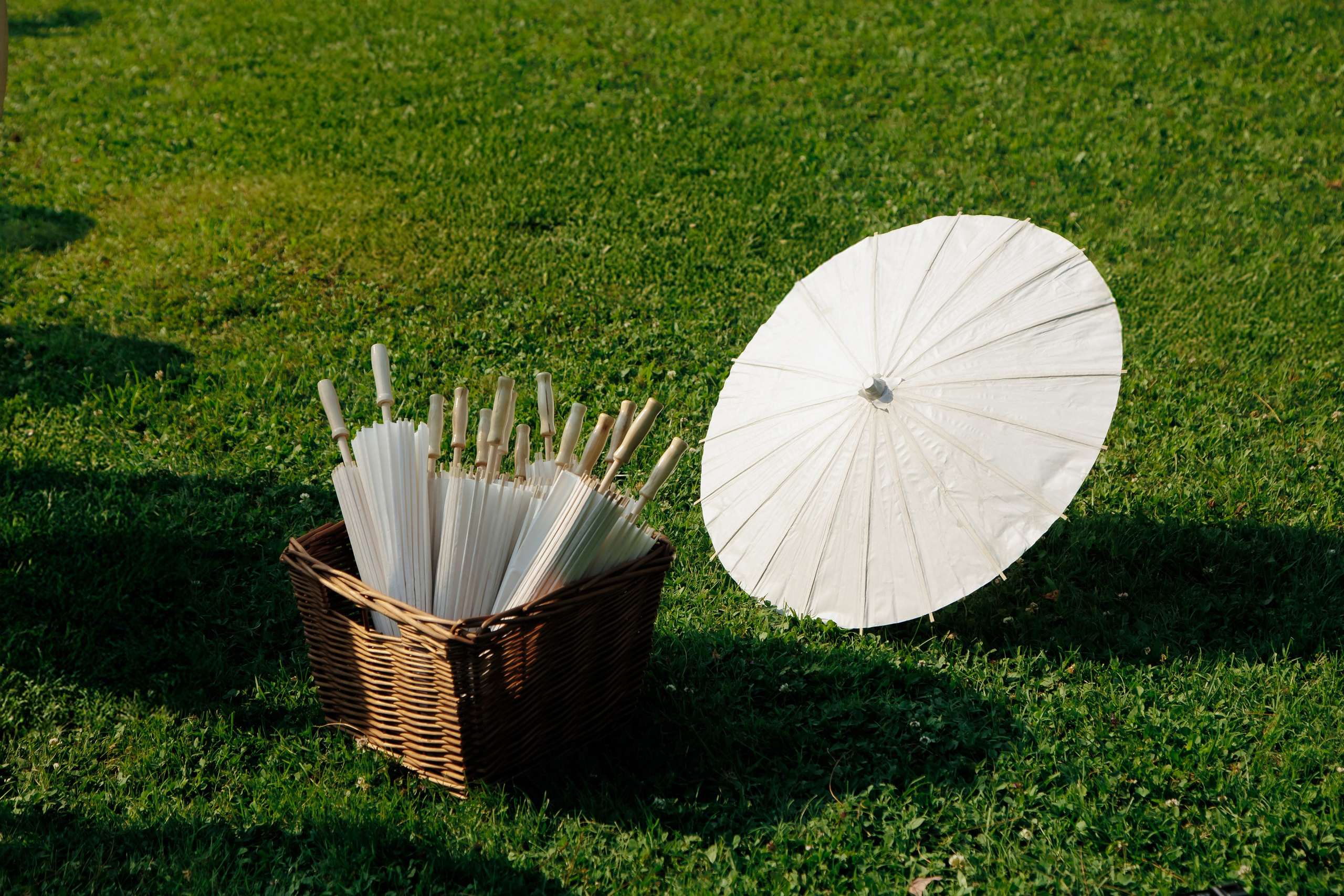 Mia & Mo. Fulop Robert — Editorial Wedding Photographer in Europe