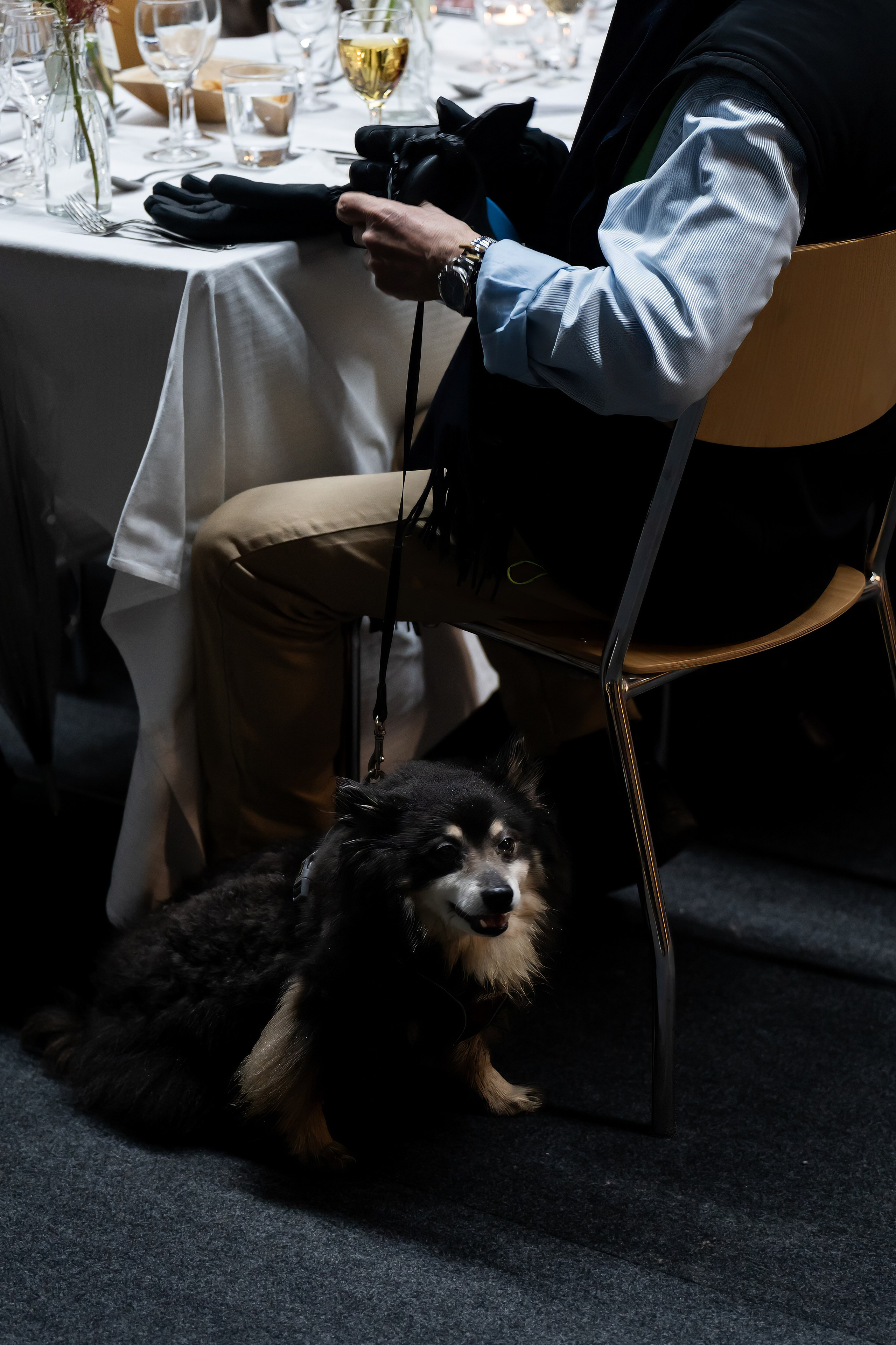 Noël des Seniors. Фотограф в Женеве — Евгения Андрес