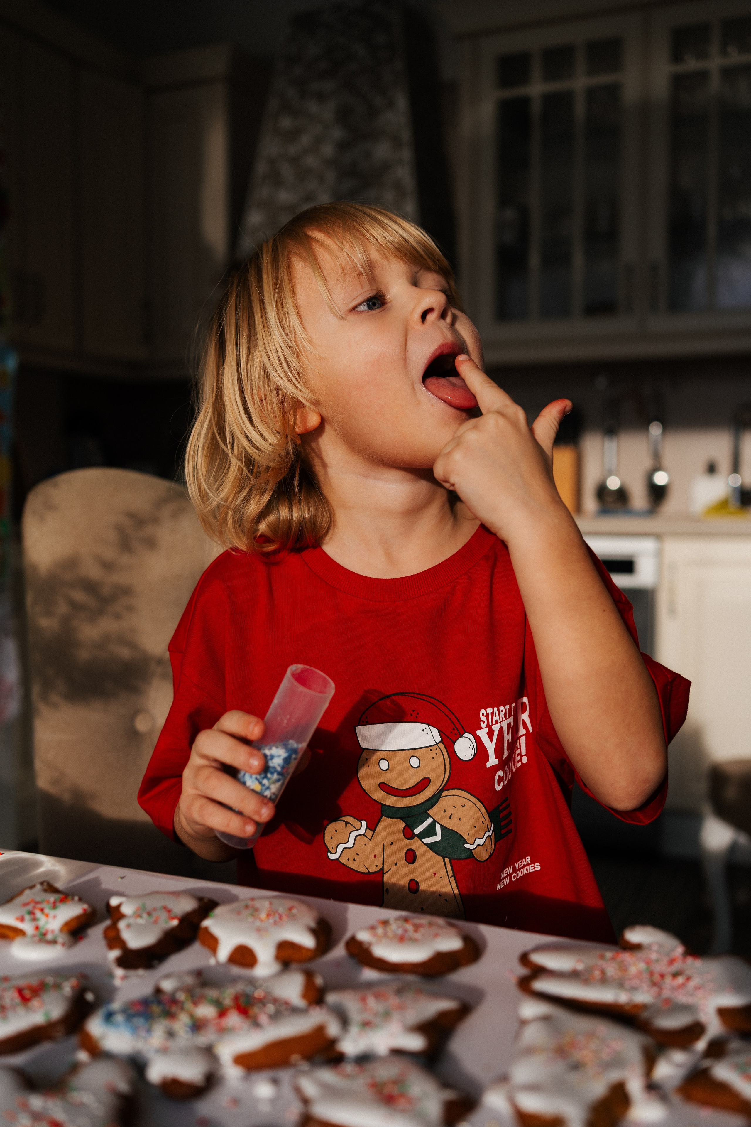 CHRISTMAS FAMILY. PHOTOGRAPHER|VIDEOGRAPHER MONTENEGRO