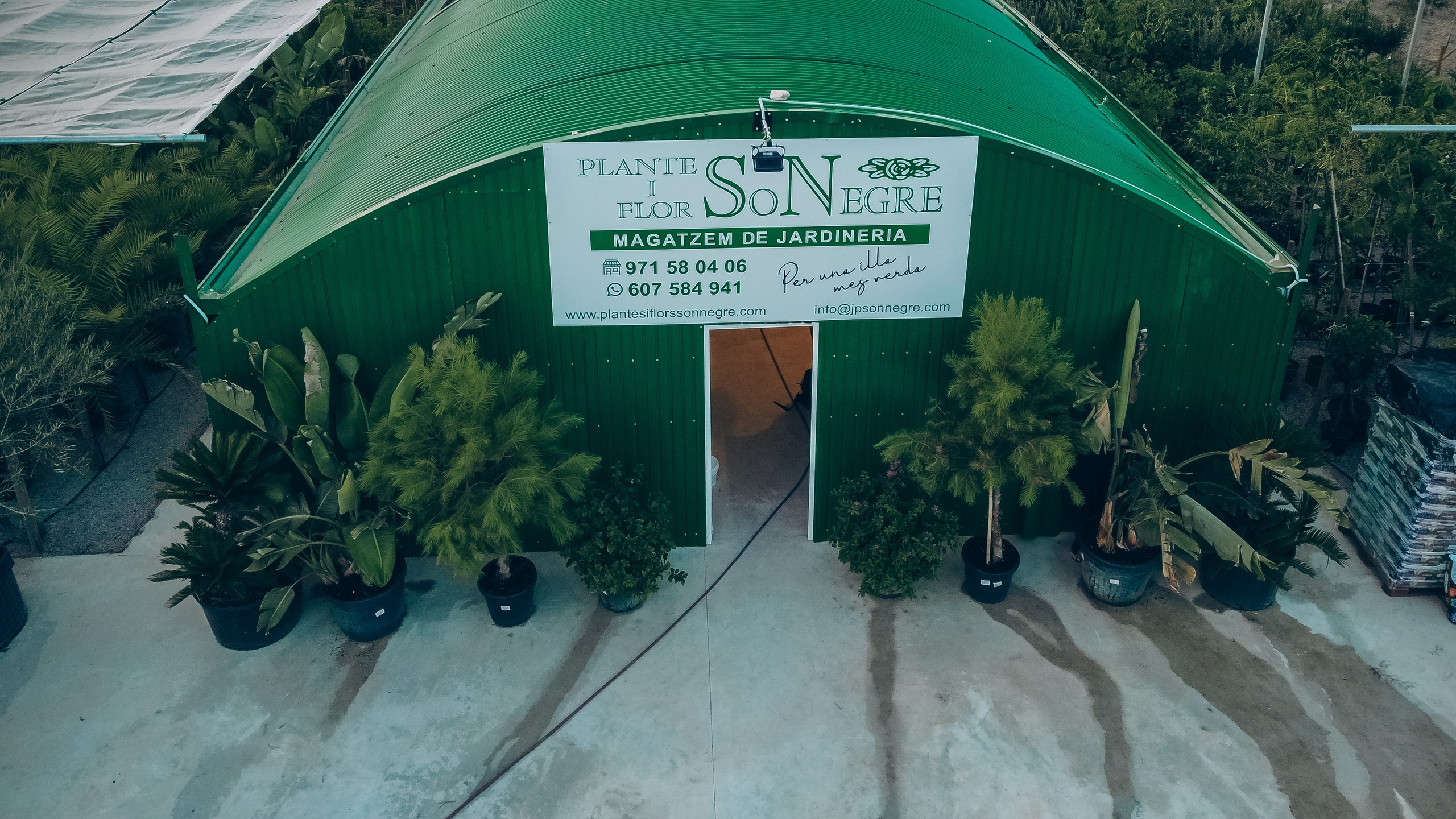 Centro Jardin. Photographer in Mallorca