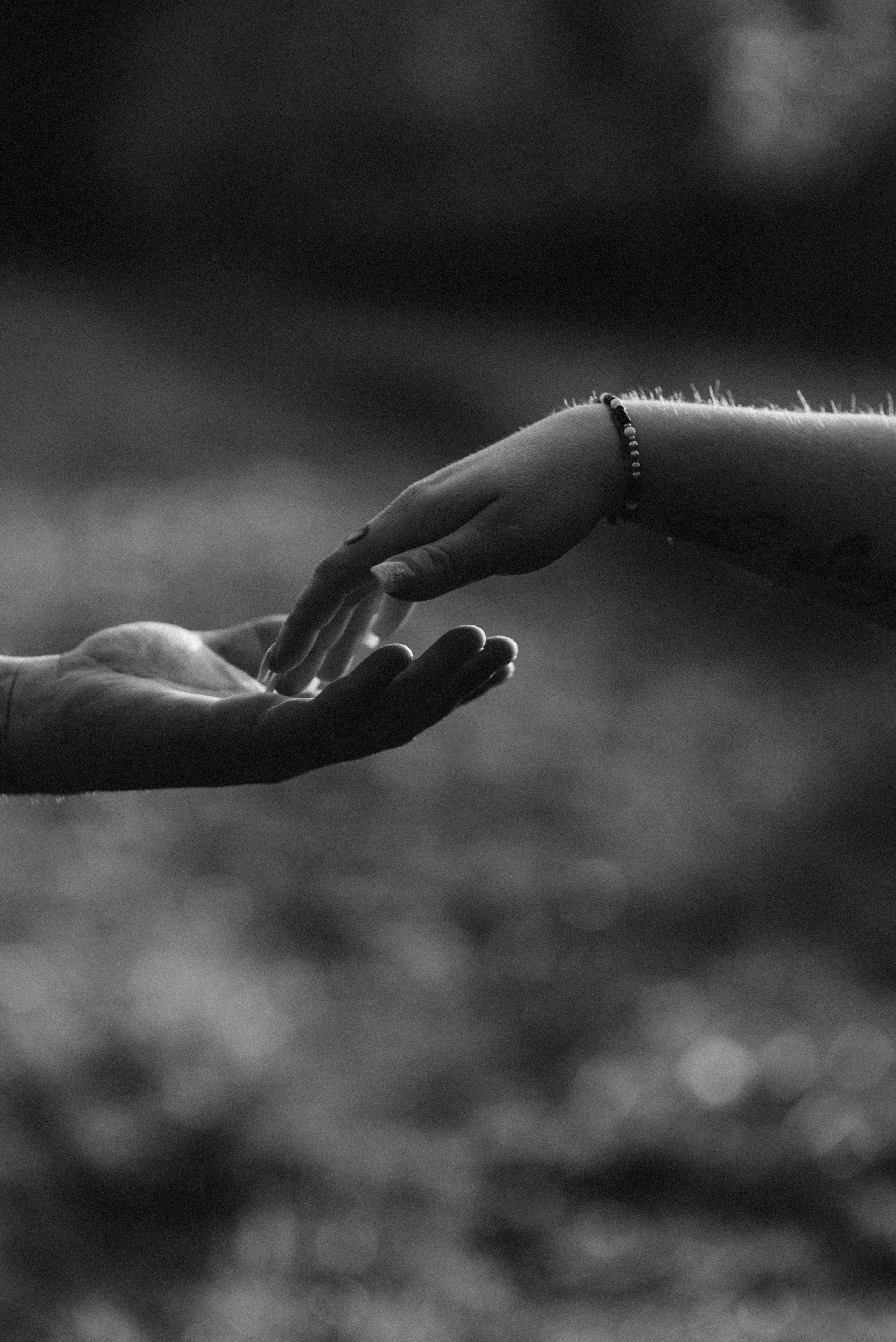 PUSTERBLUMEN. Fotografin Ansbach - Paare | Hochzeit | After Wedding