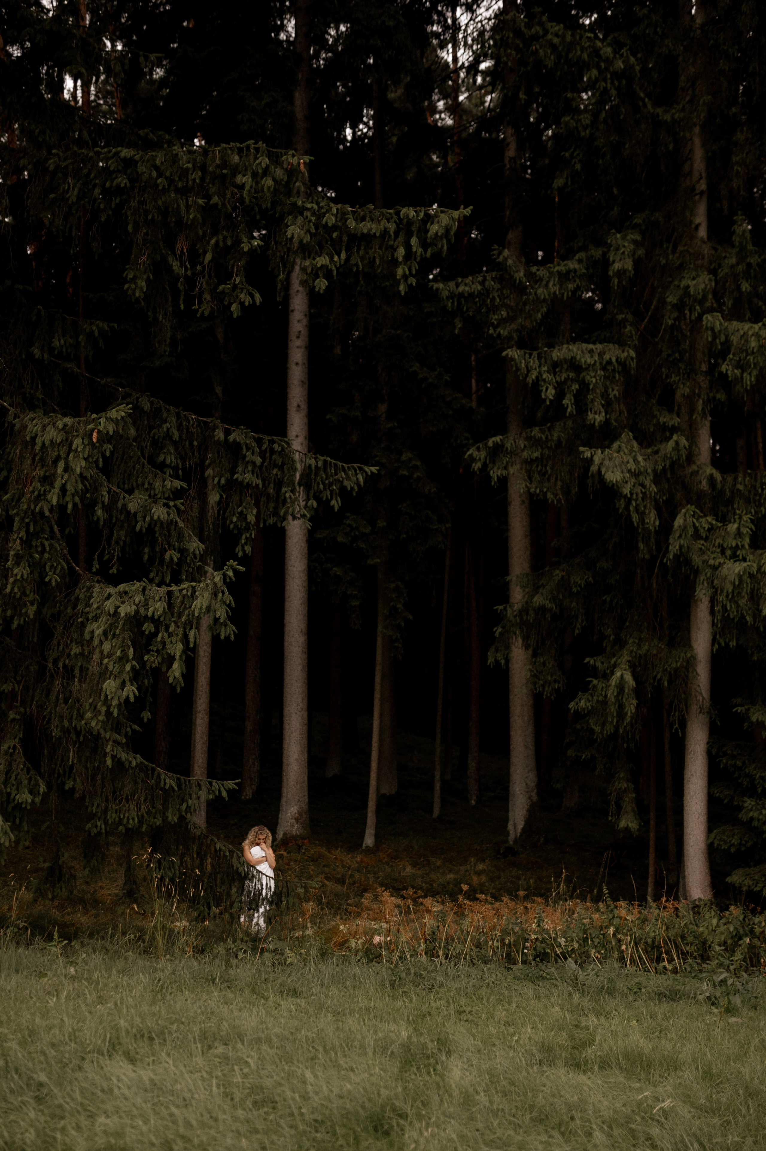 GREEN FOREST. Photographer in Nuremberg Irina Mehnert from Ansbach