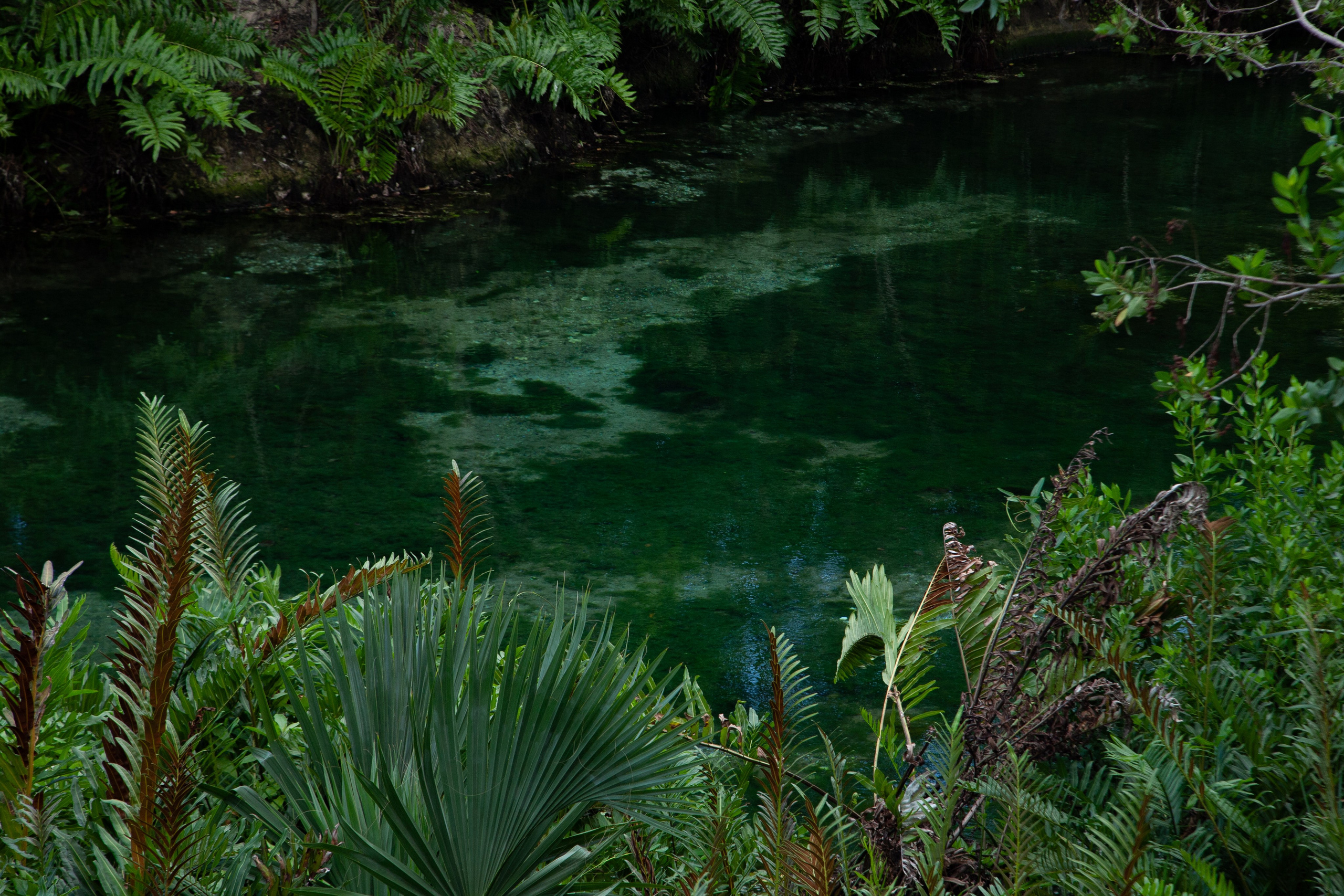 EXHIBITION. Lero Photographer and a set designer|individual custom portrait and advertising photography in Zutphen