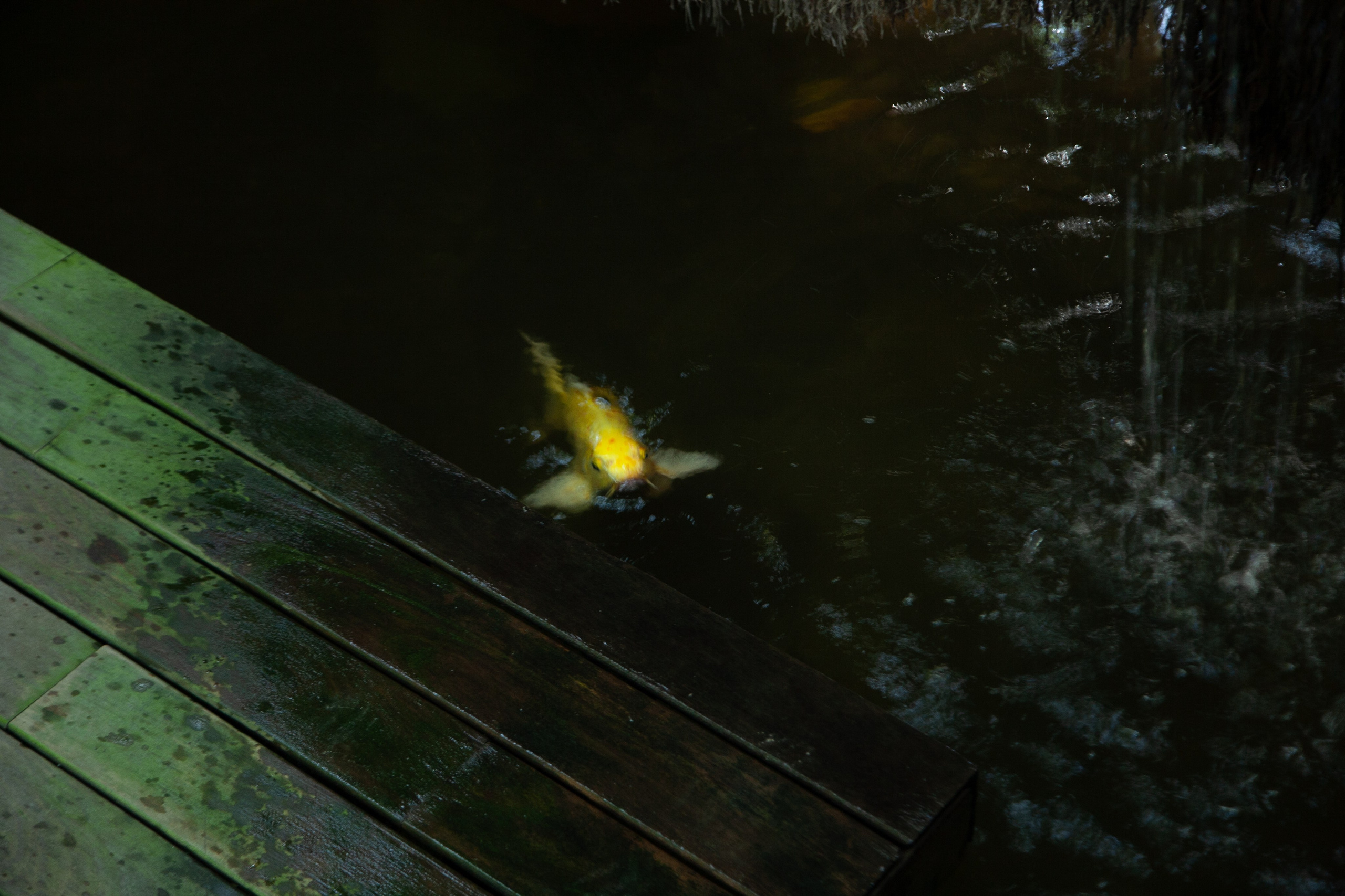 TULUM. ECO HOTEL. Lero Photographer and a set designer|individual custom portrait and advertising photography in Zutphen