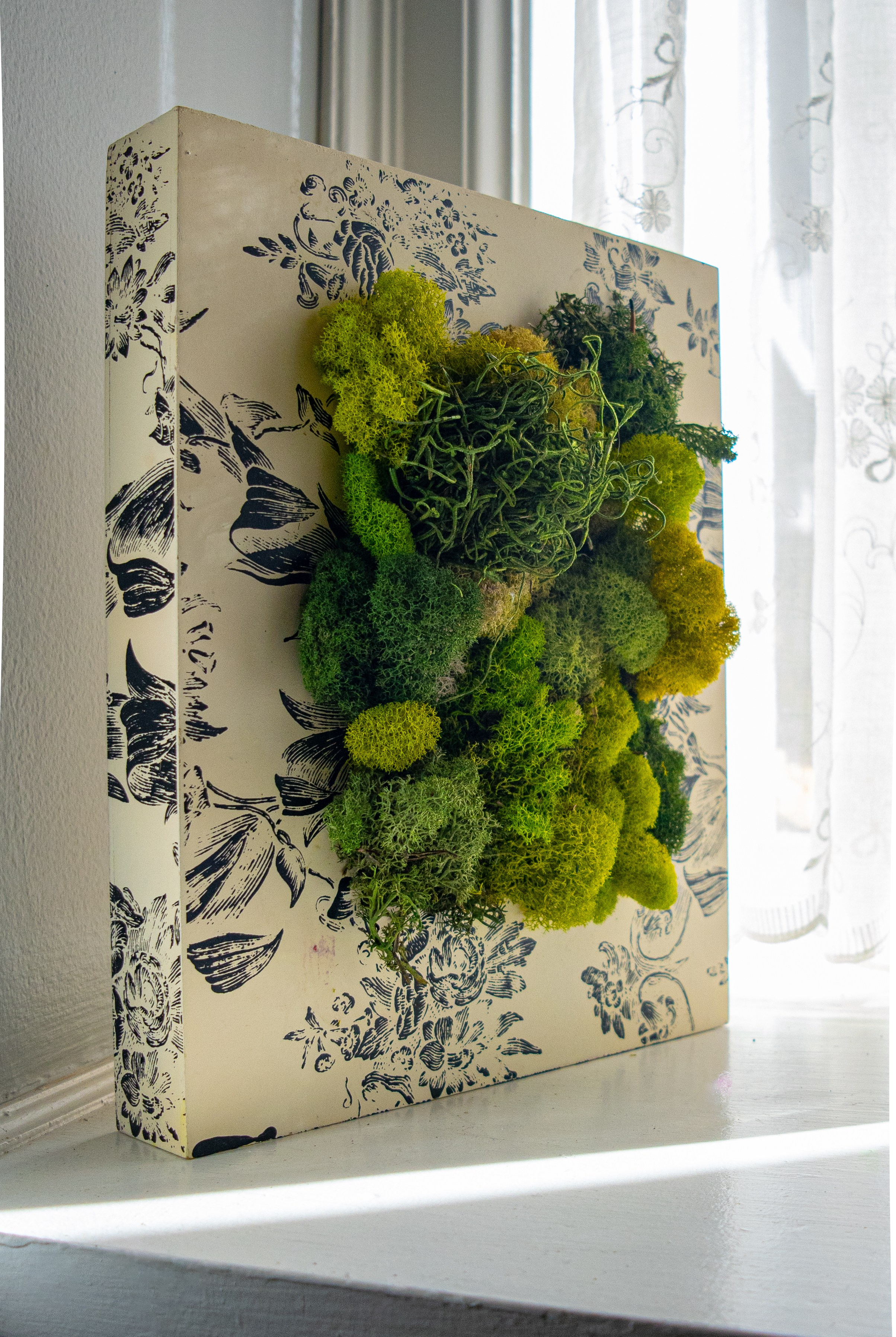 Anna & Moss magic, Content. Yana Bobrova | Artistic Photography