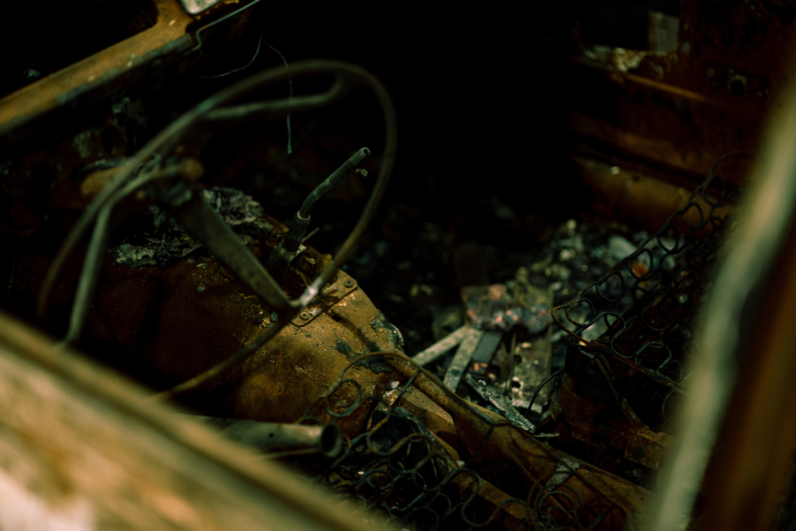 AUTOMOTIVE. Baby Beast