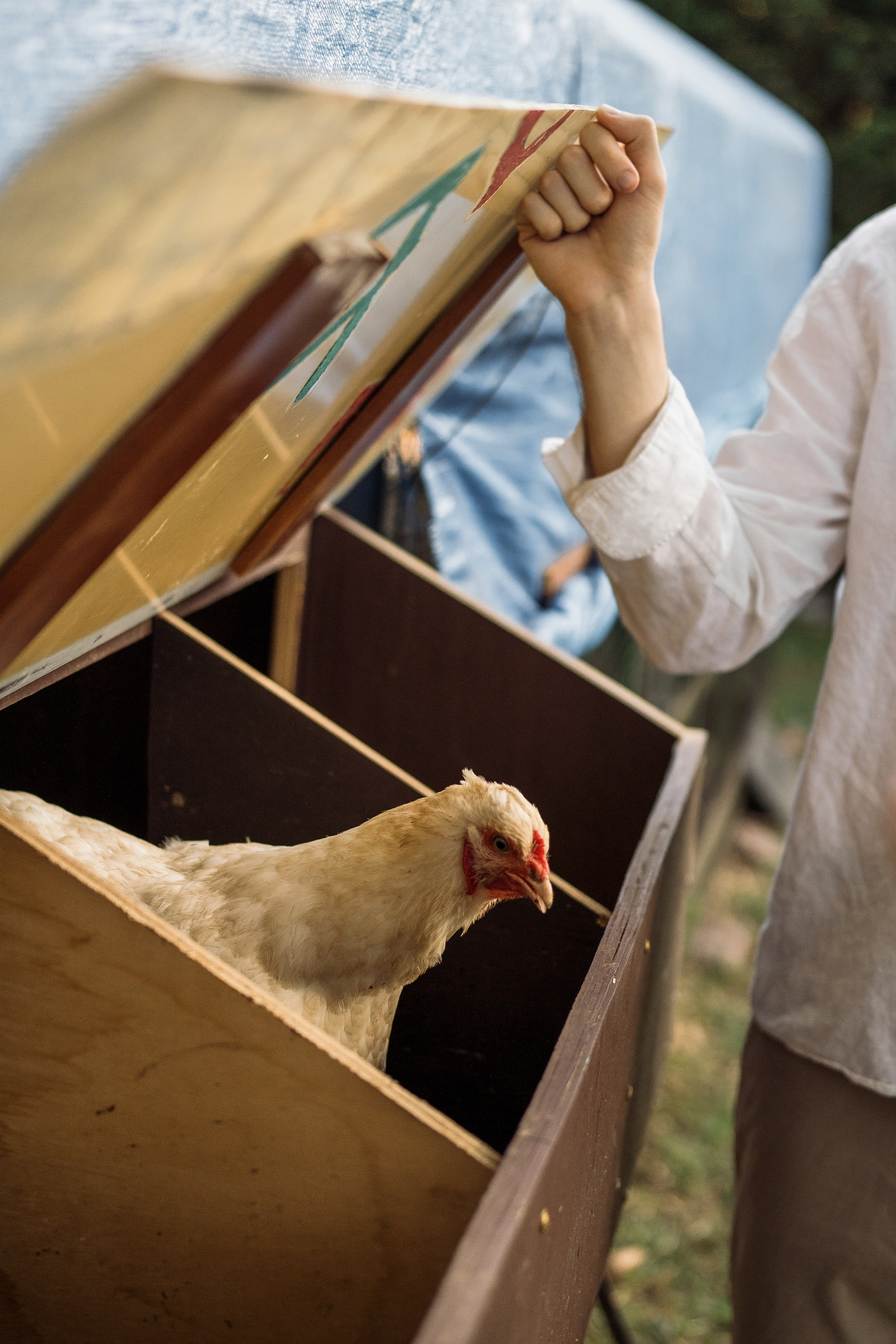 Big happy family. At home. Wedding and family photographer and videographer PA, NJ, NY, DE, MD