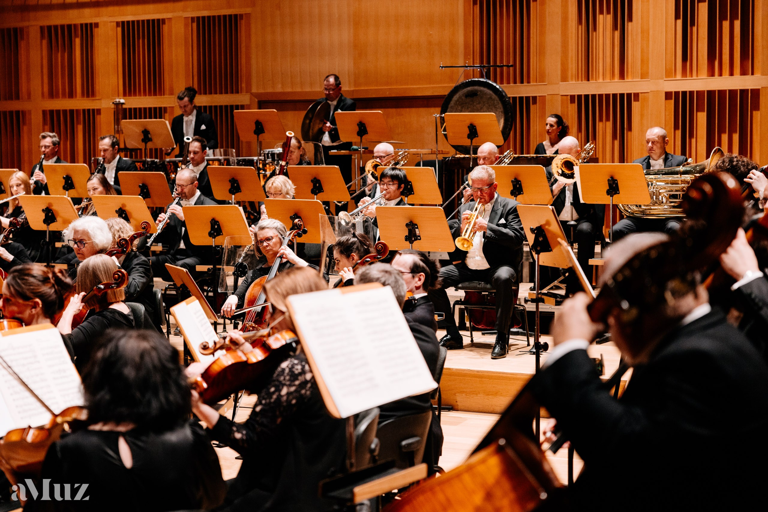 Koncert dyplomantów aMuz w Polskiej Filharmonii Bałtyckiej. Fotograf Ślubny Warszawa - Sesje Biznesowe Rodzinne Eventy