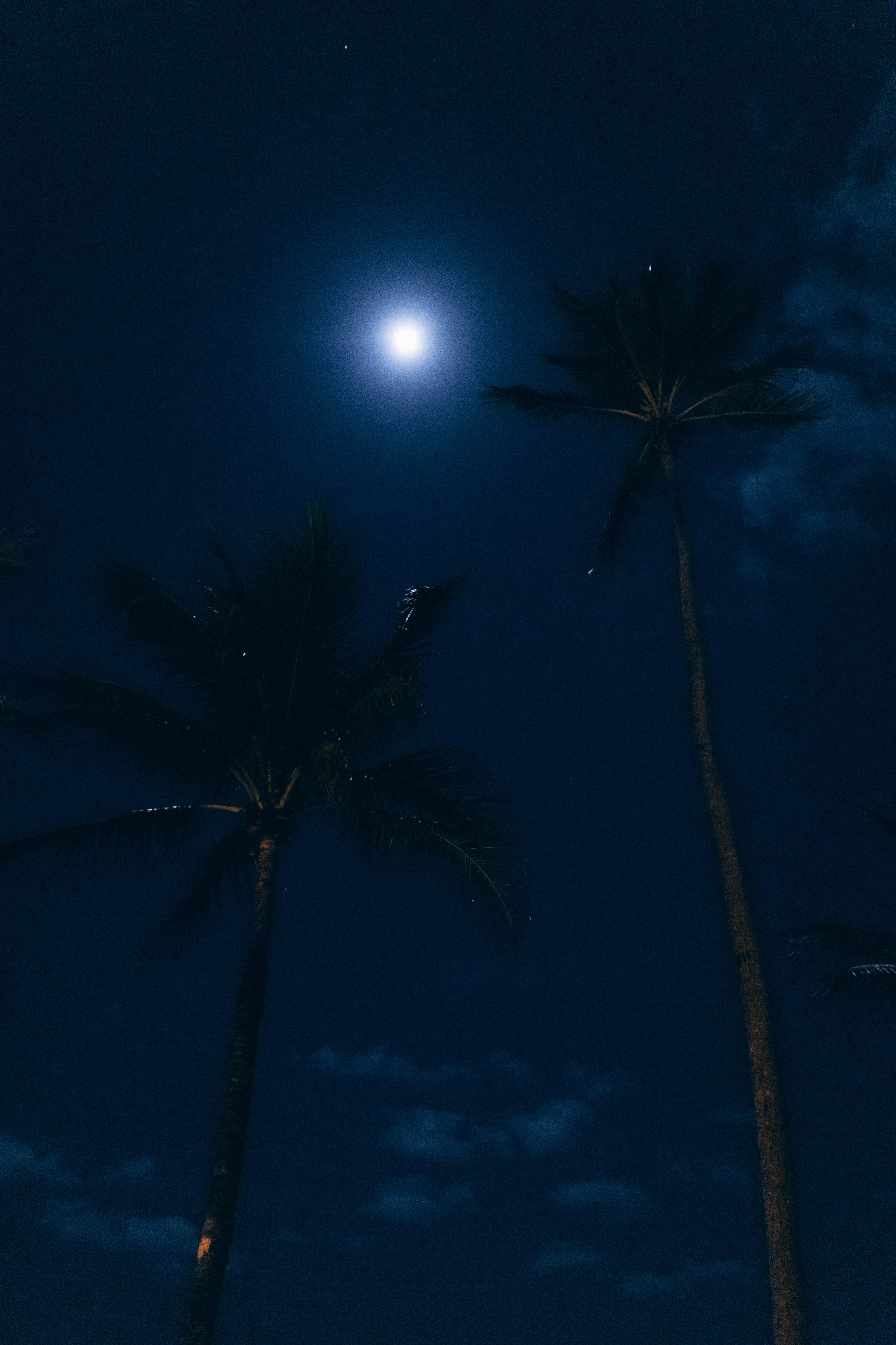 STREET. TETIANA UDOVYCHENKO PORTRAIT PHOTOGRAPHER