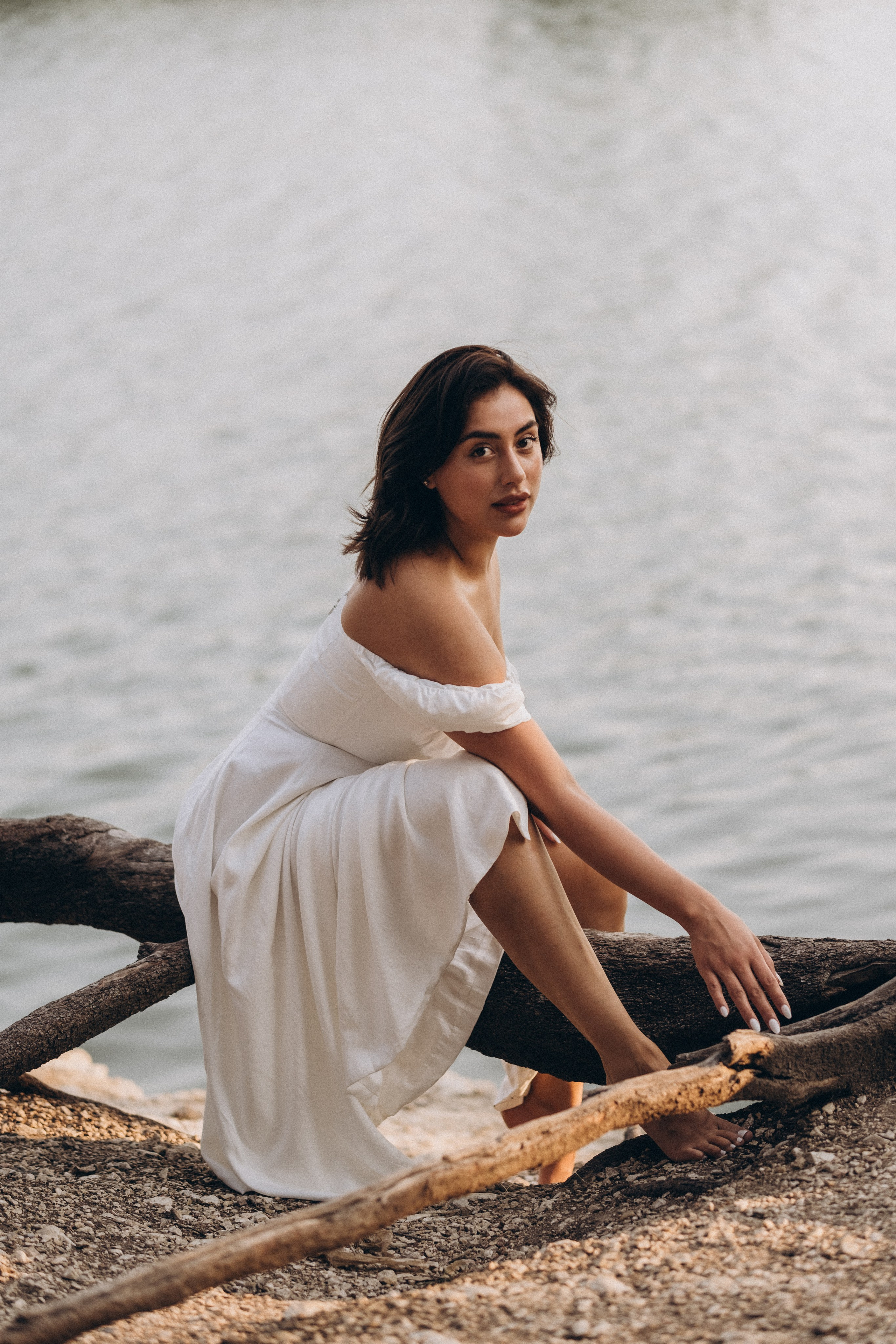 Fields of Flowers. Lens Captures Life