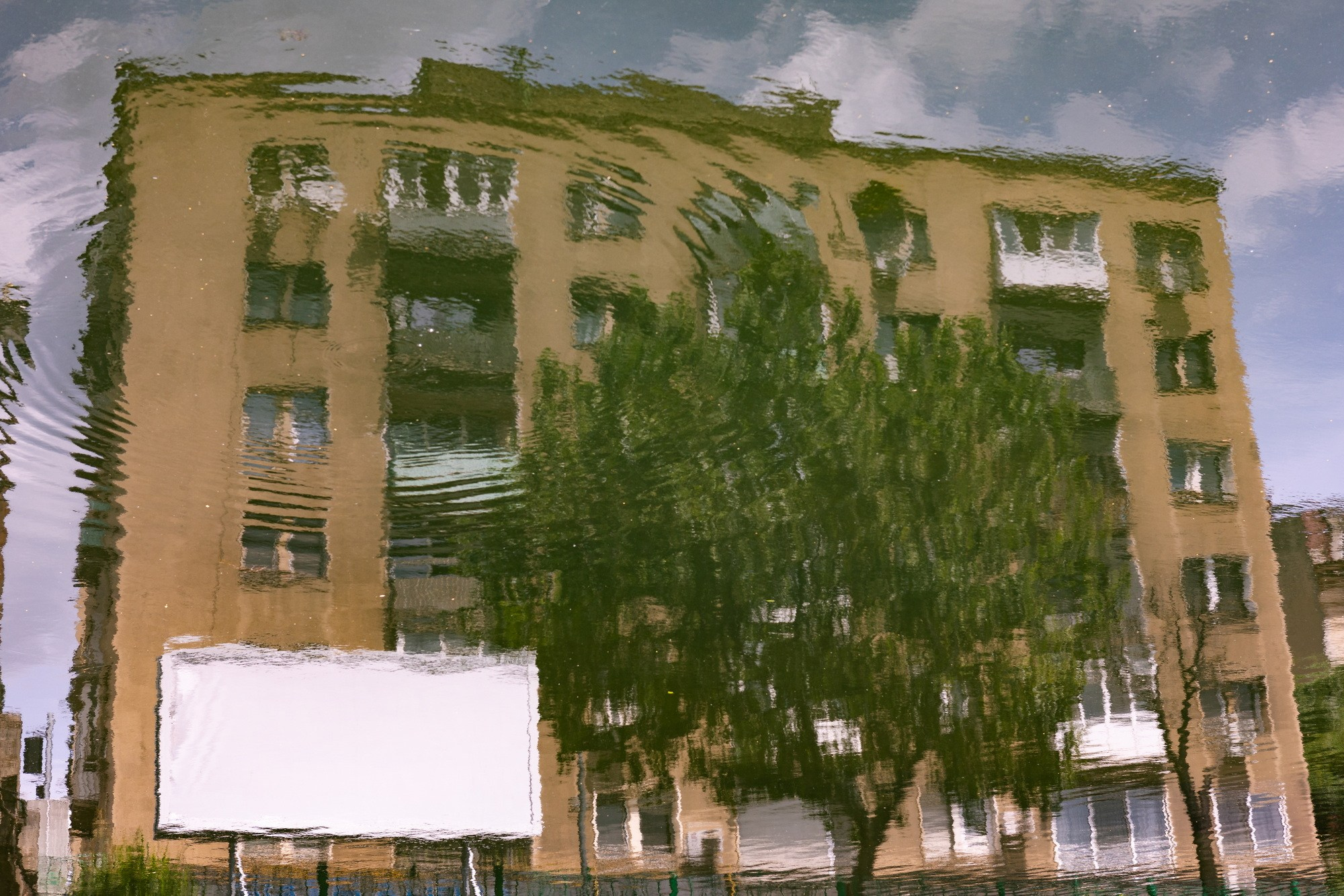 The Grid. A Creative Insight | Catalin Nastase