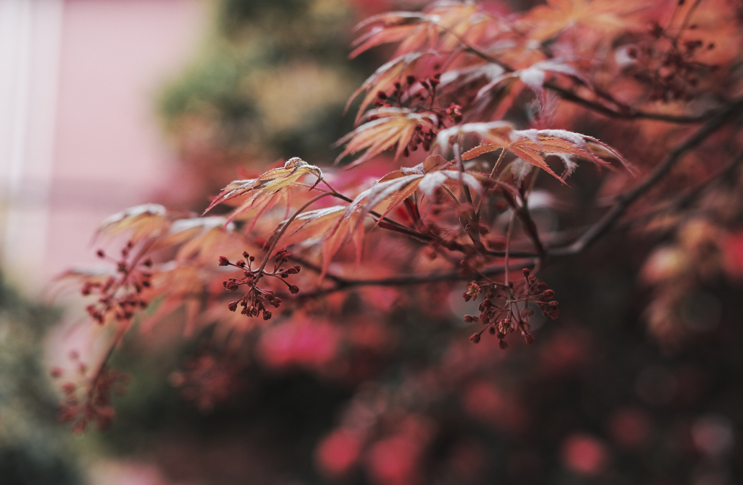 Shanghai Street Photography | China