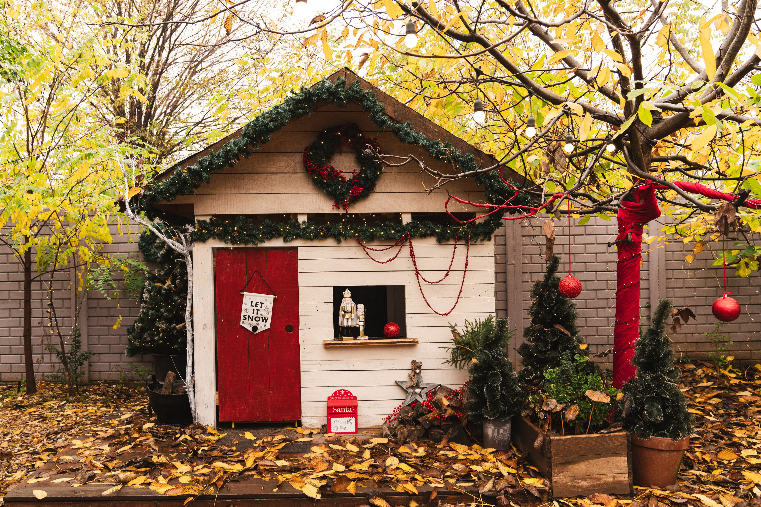 Studio Colentina. Fotograf evenimente. Fotograf nunta. Fotograf Botez. Mihaela Savu