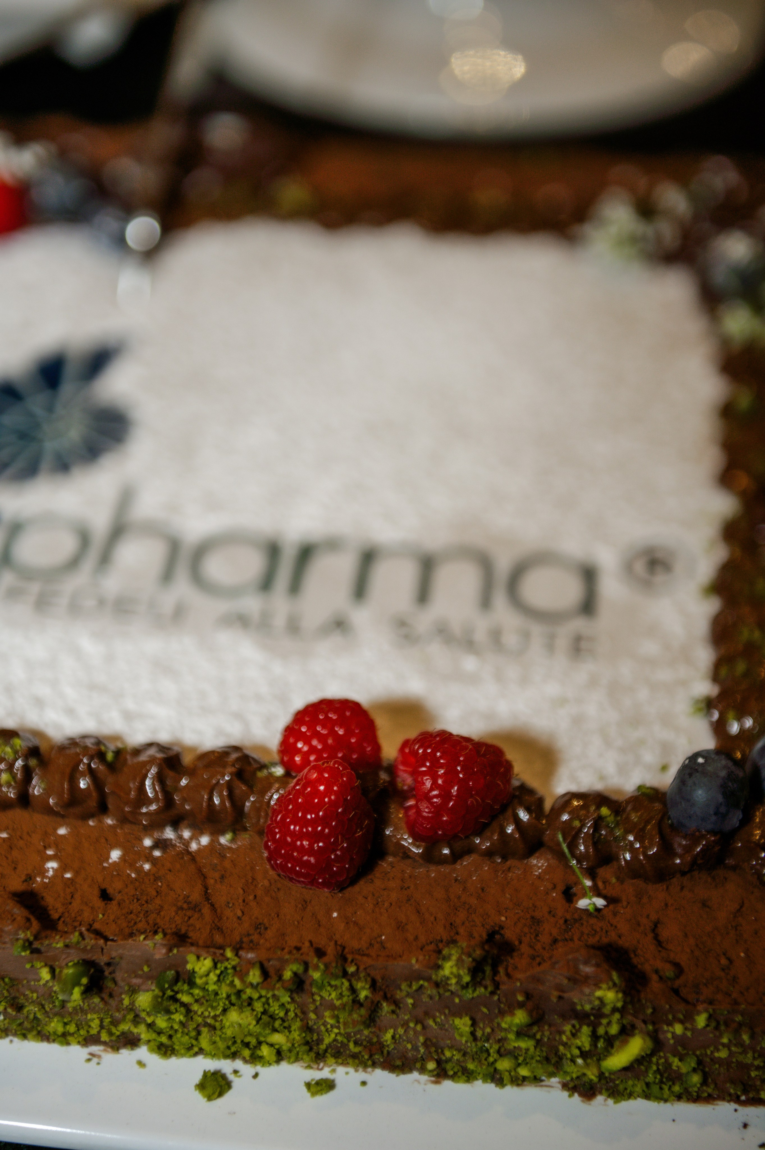 Corporate party at the restaurant — Pharma. Ваш фотограф в Лиссабоне — Анна Белова