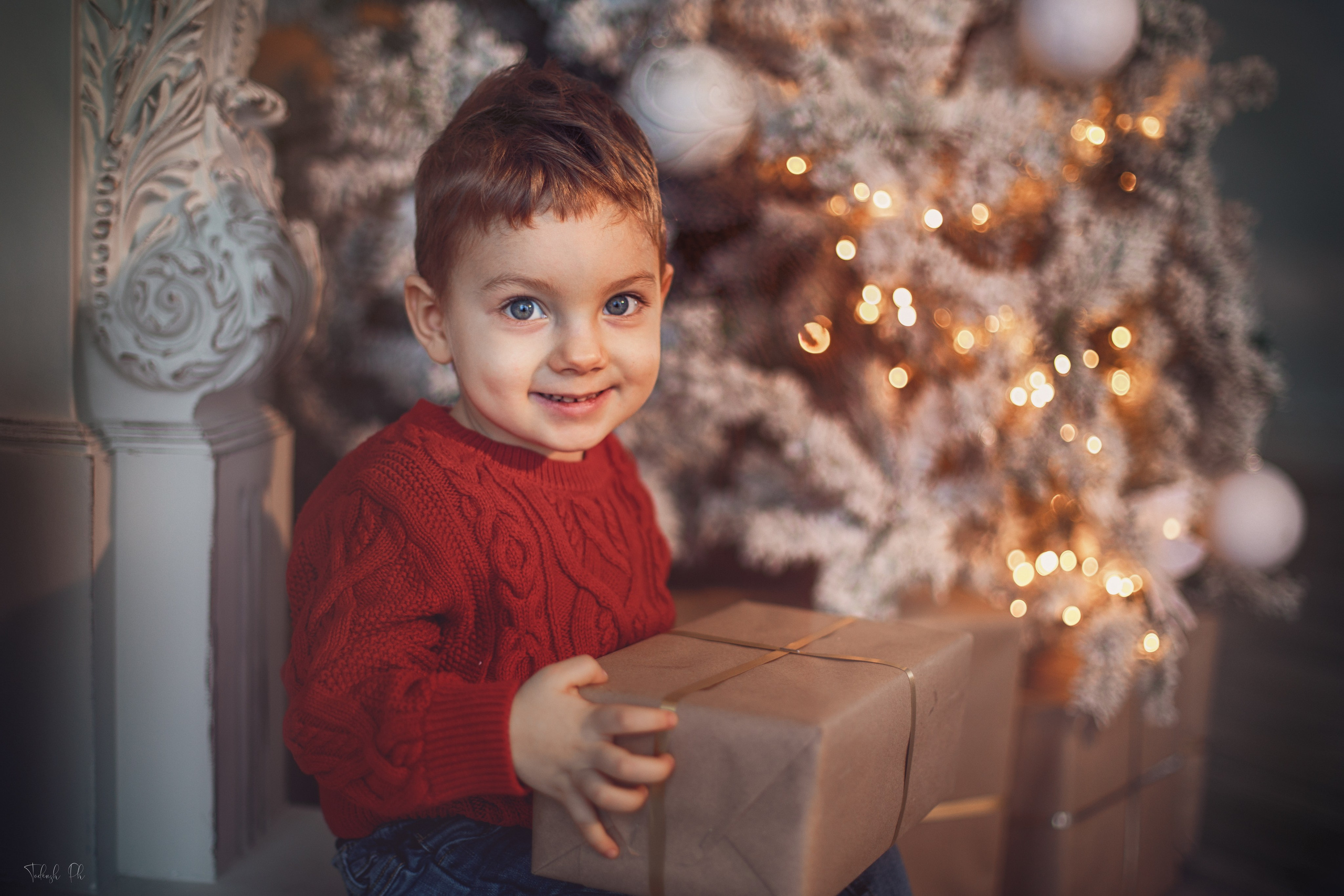 Christmas Time. Wedding, Family Photographer