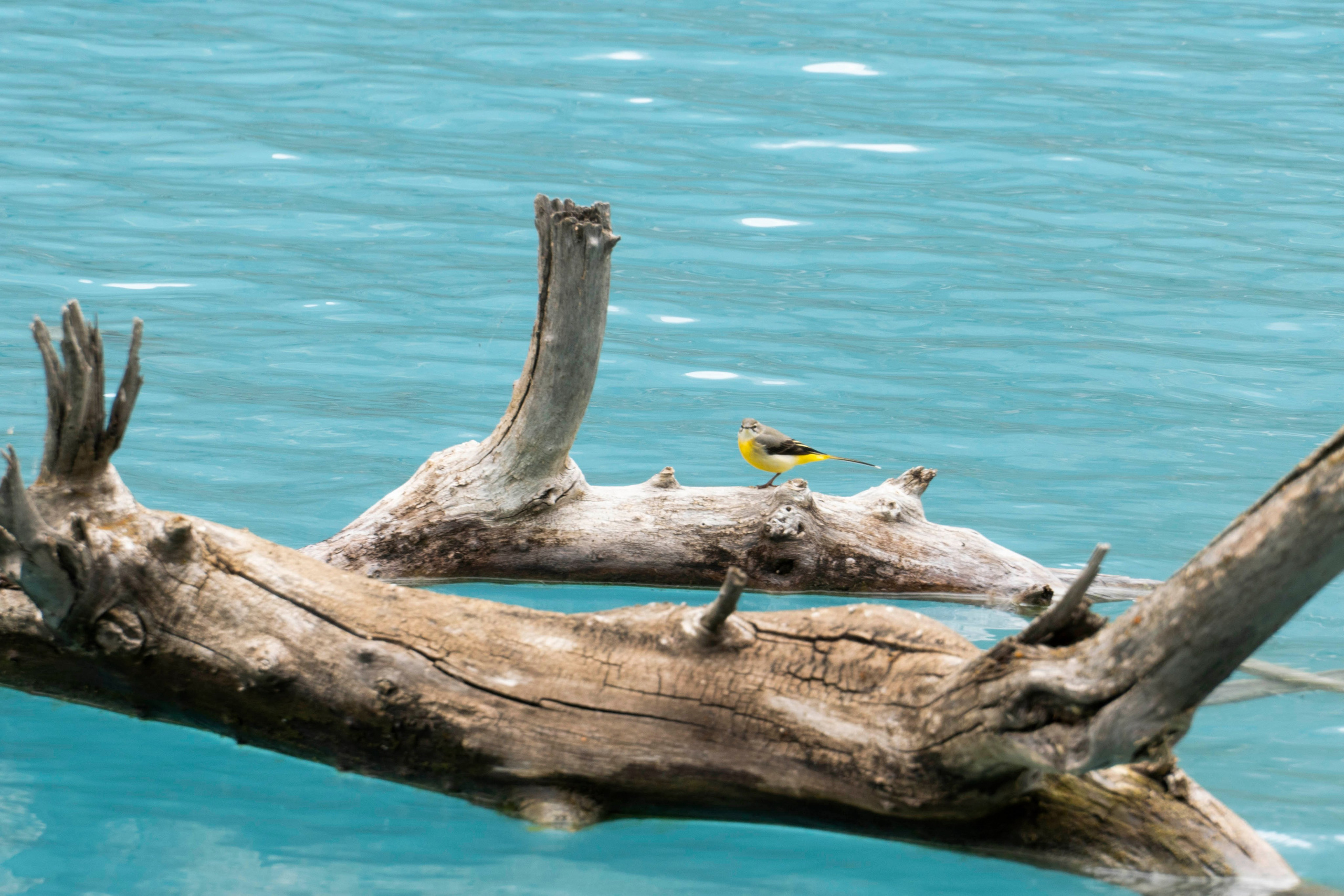 Landscape. Melikov Amir, Uzbekistan based photographer