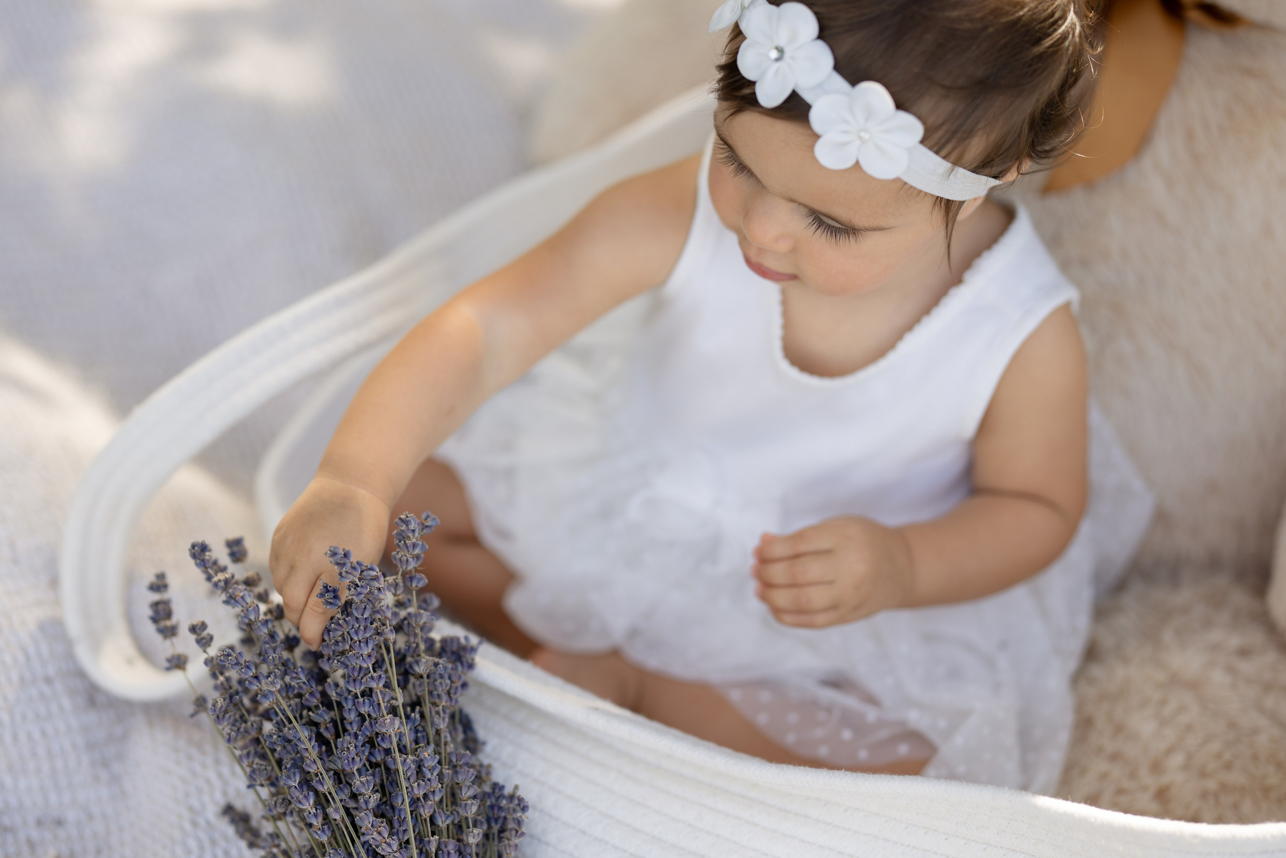 Familienfotografie │ Babybauch & Newborn