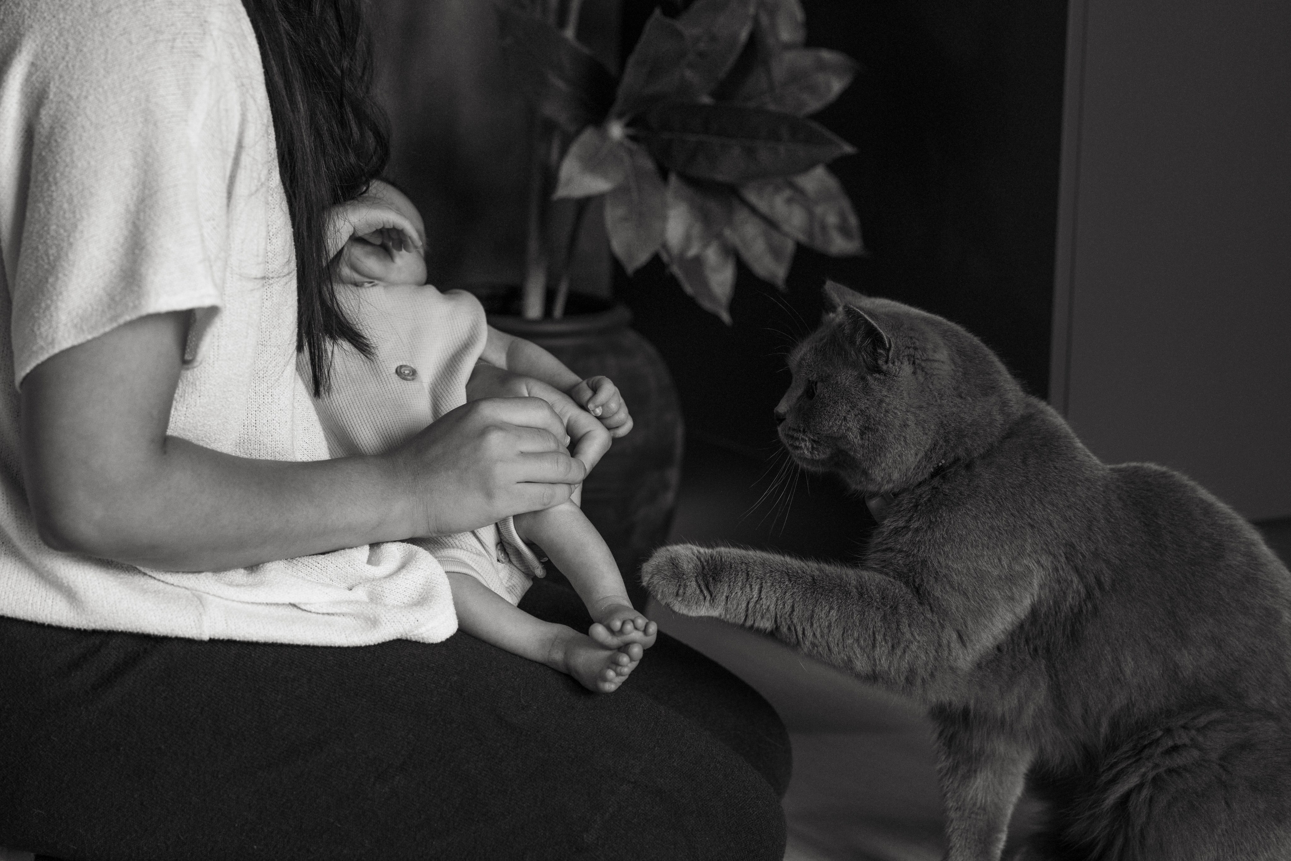 Newbornfotografin, Neugeborenen Fotografie in Raum Gießen Limburg Marburg