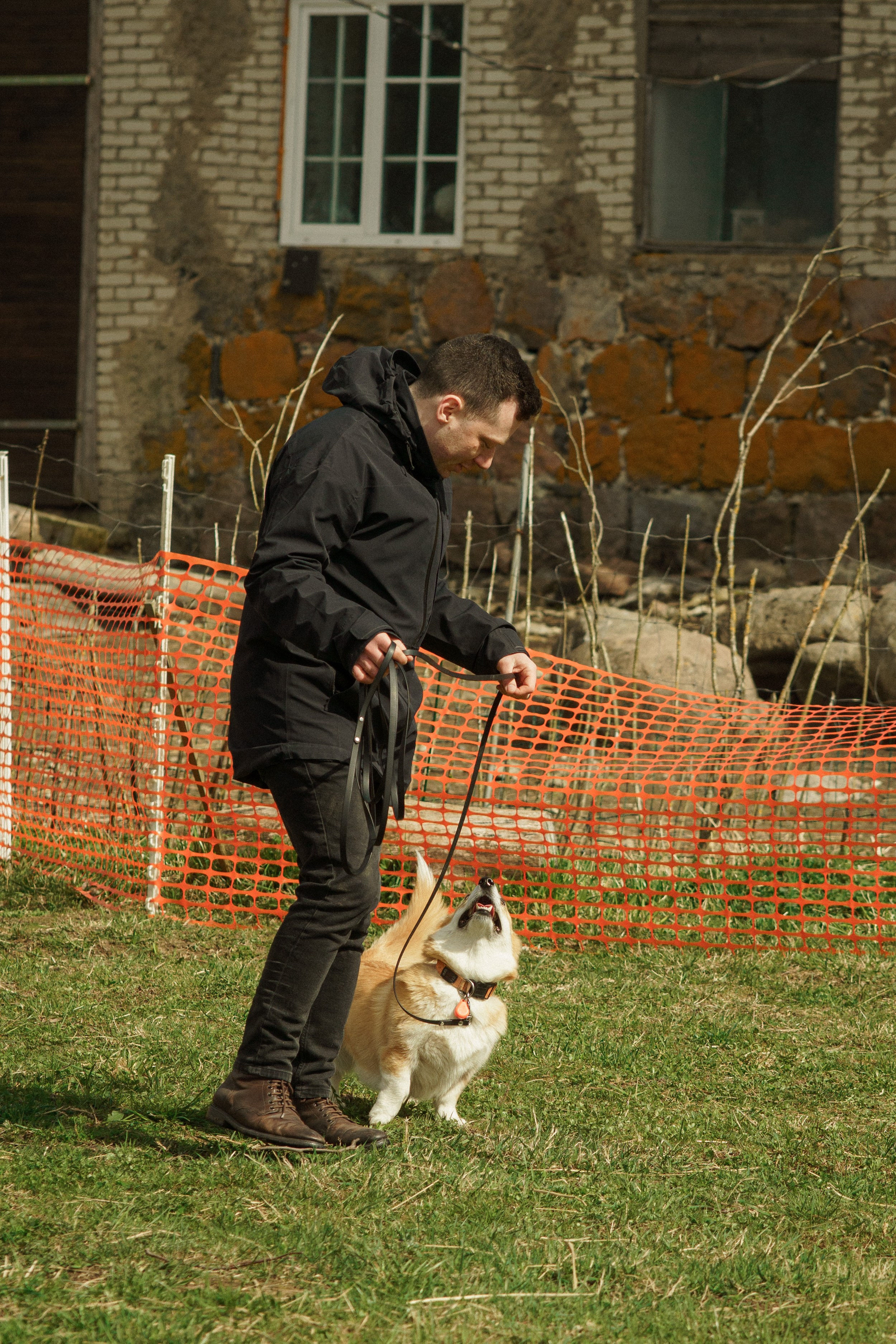 Herding Days, 26 apr. 2025. Kat Laisaar — Pet photographer in Tallinn