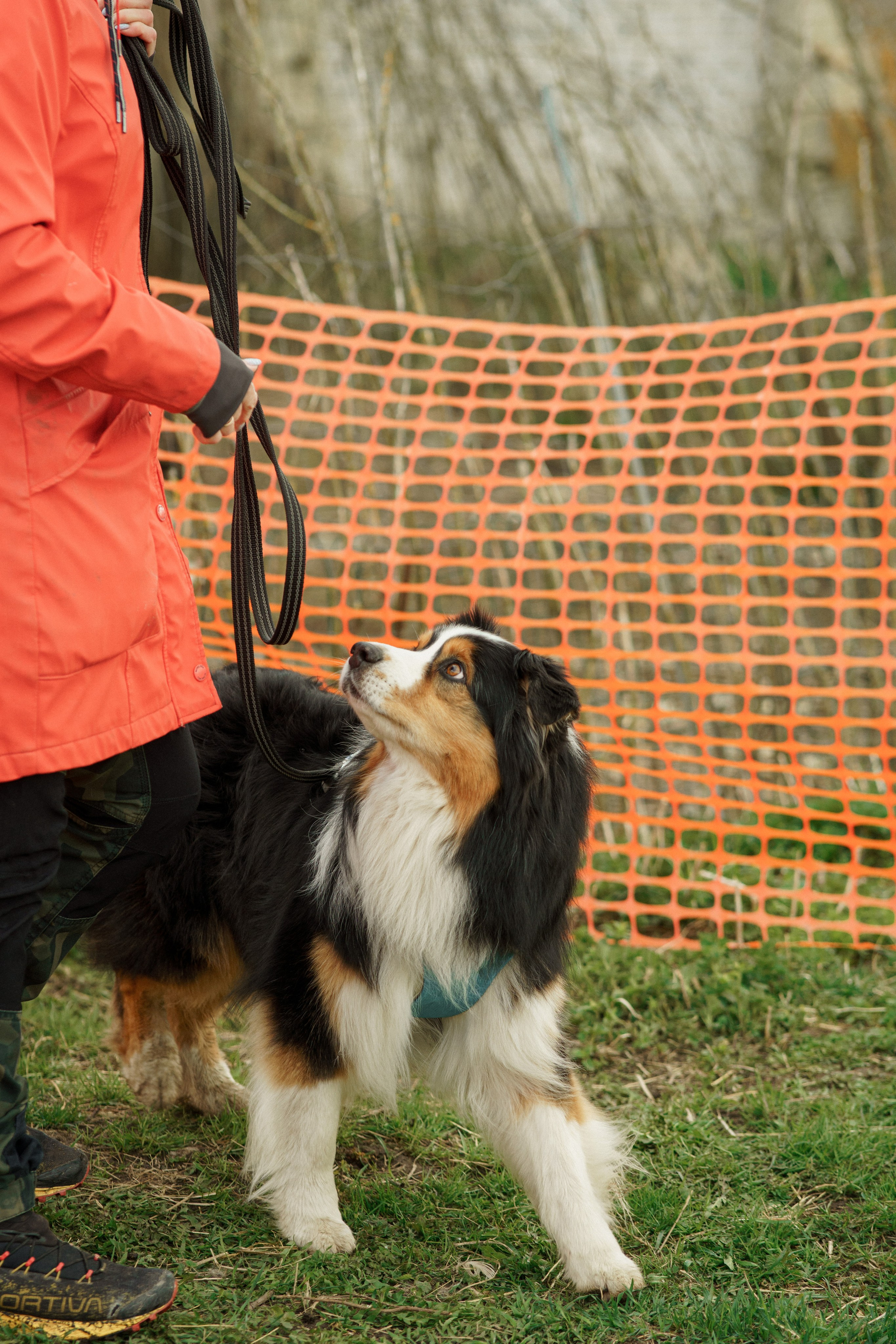 Herding Days, 26 apr. 2025. Kat Laisaar — Pet photographer in Tallinn