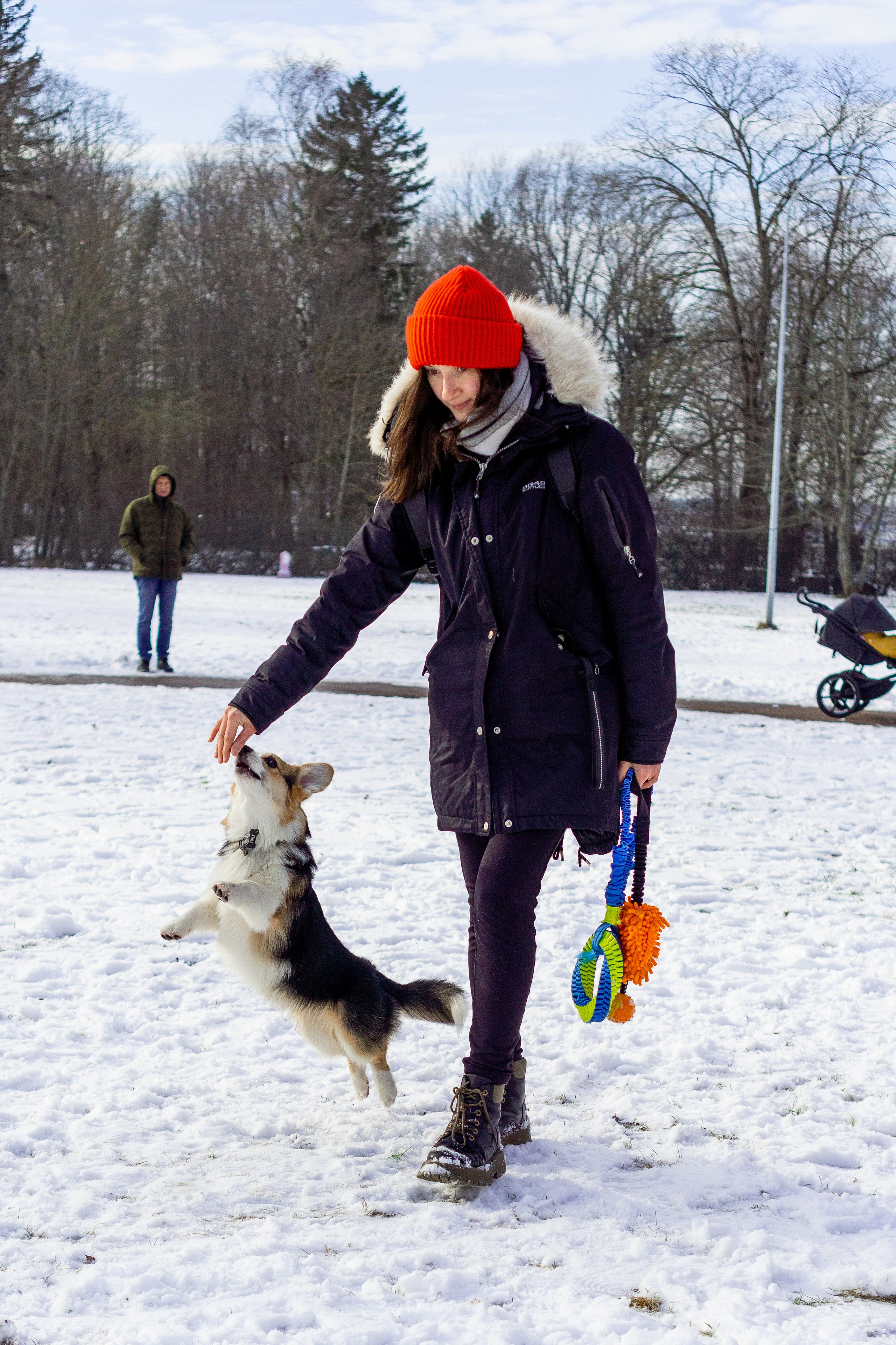 Corgi party, 23 feb. 2025. Kat Laisaar — Pet photographer in Tallinn