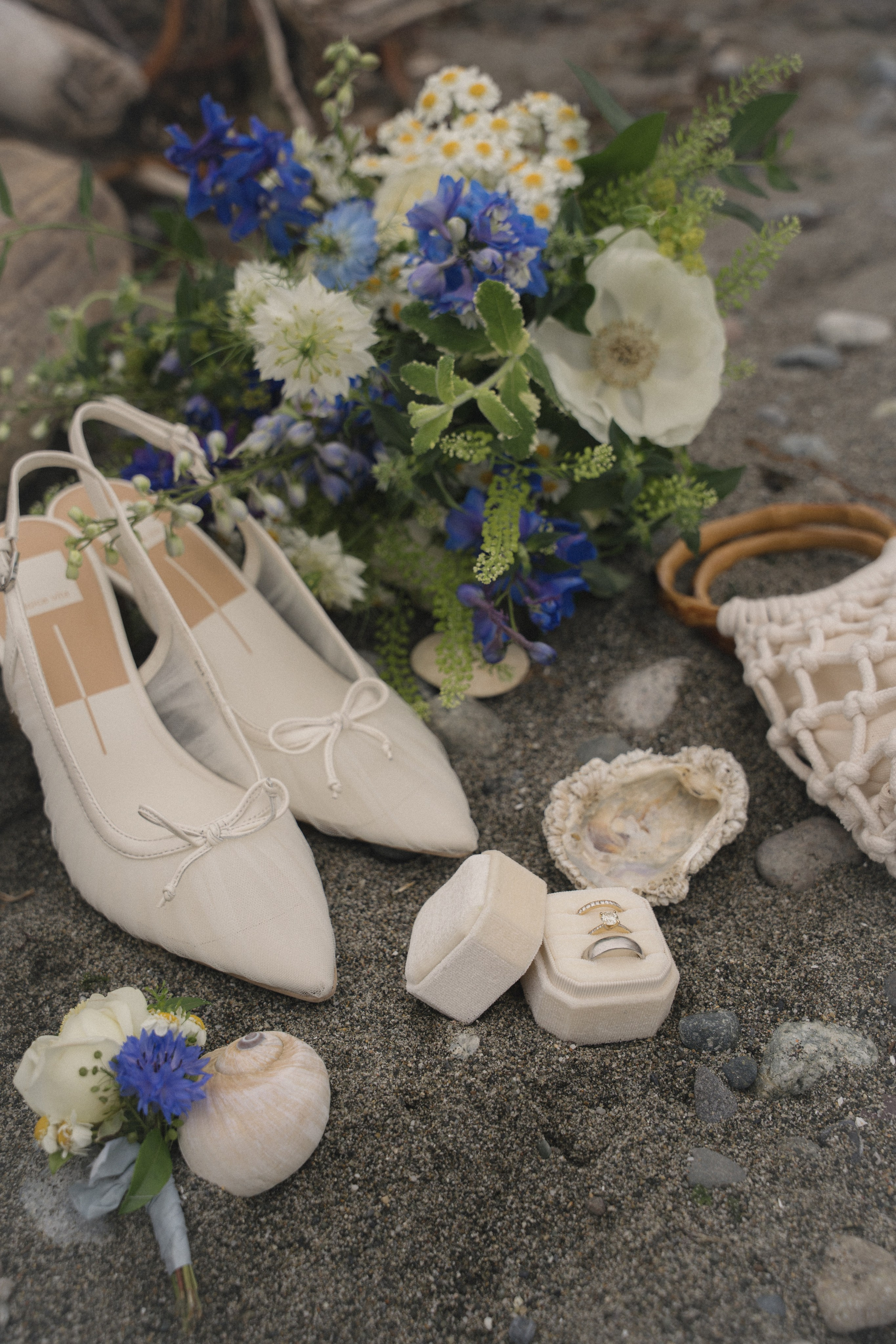 Cherilynn and Thomas | Courthouse wedding. Photographer in Washington Sophia D