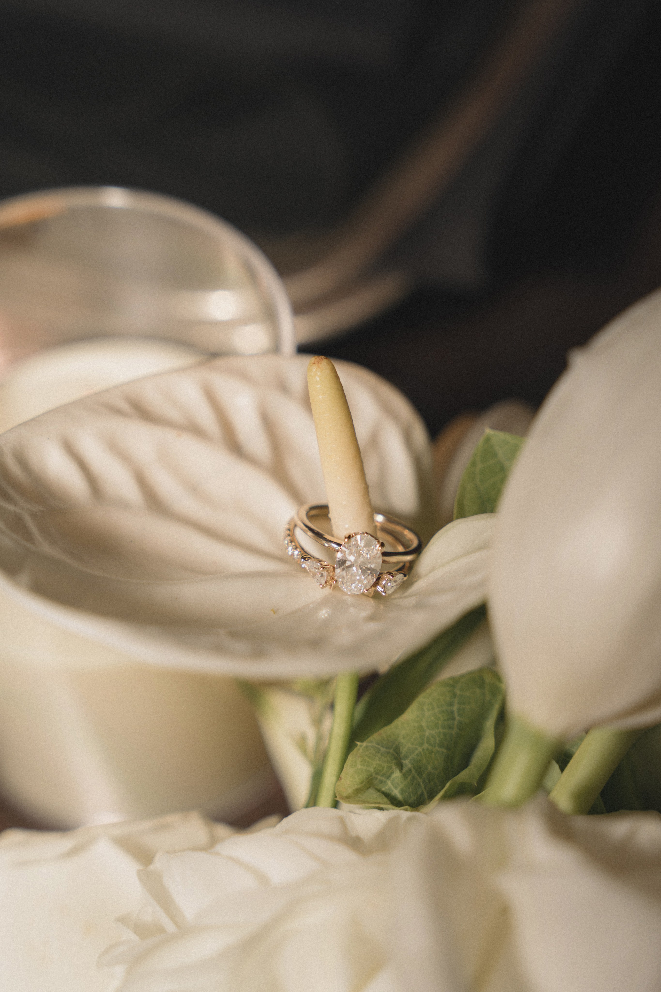 Anthony and Jessica | Intimate wedding. Photographer in Washington Sophia D