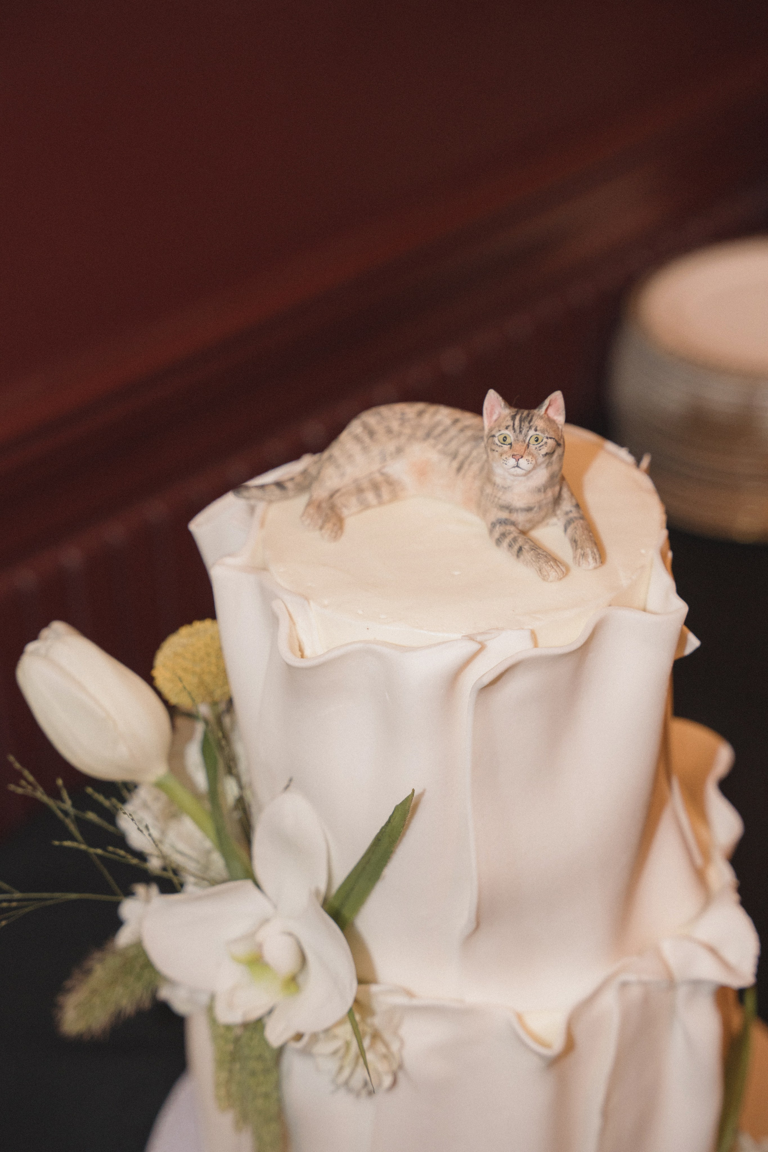 Anthony and Jessica | Intimate wedding. Photographer in Washington Sophia D