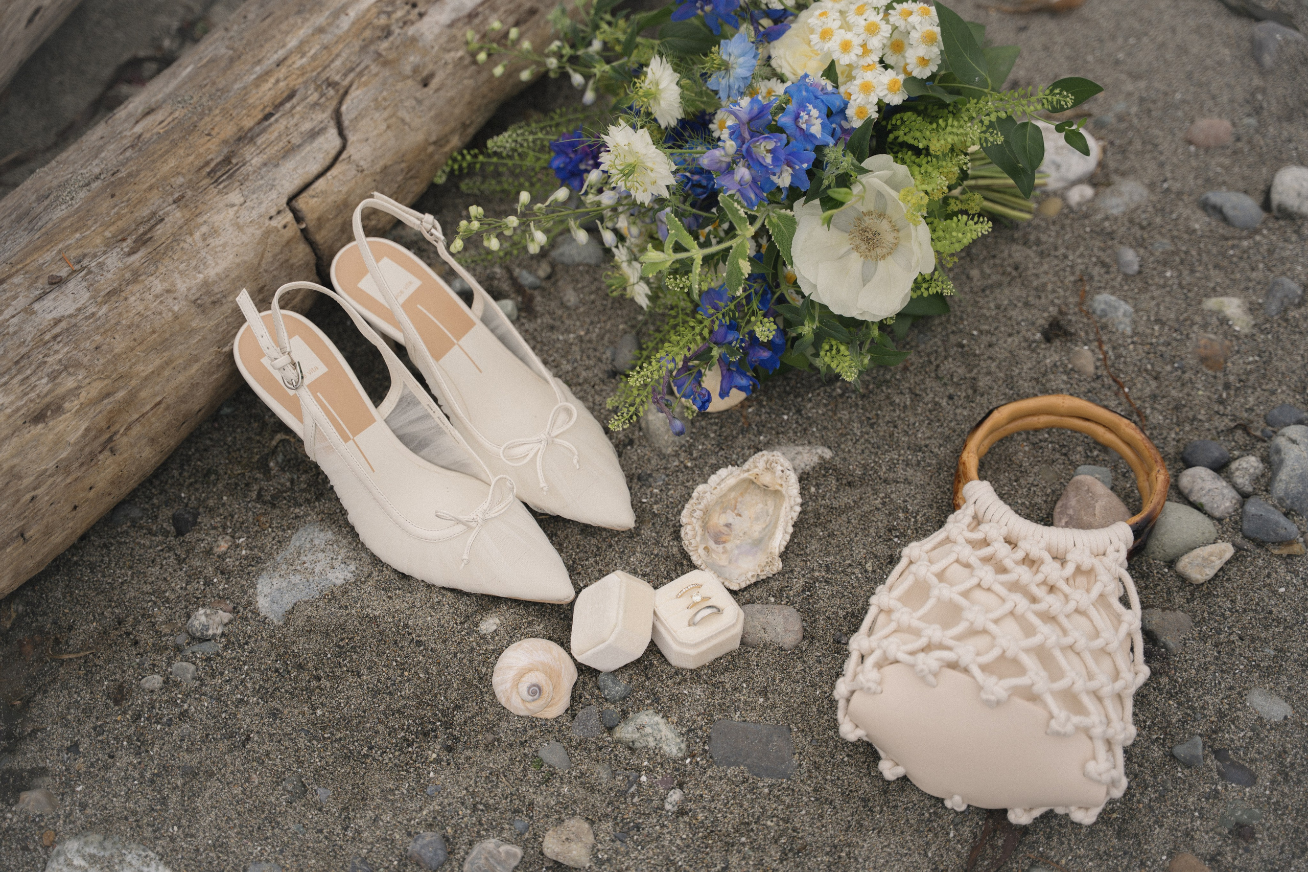 Cherilynn and Thomas | Courthouse wedding. Photographer in Washington Sophia D