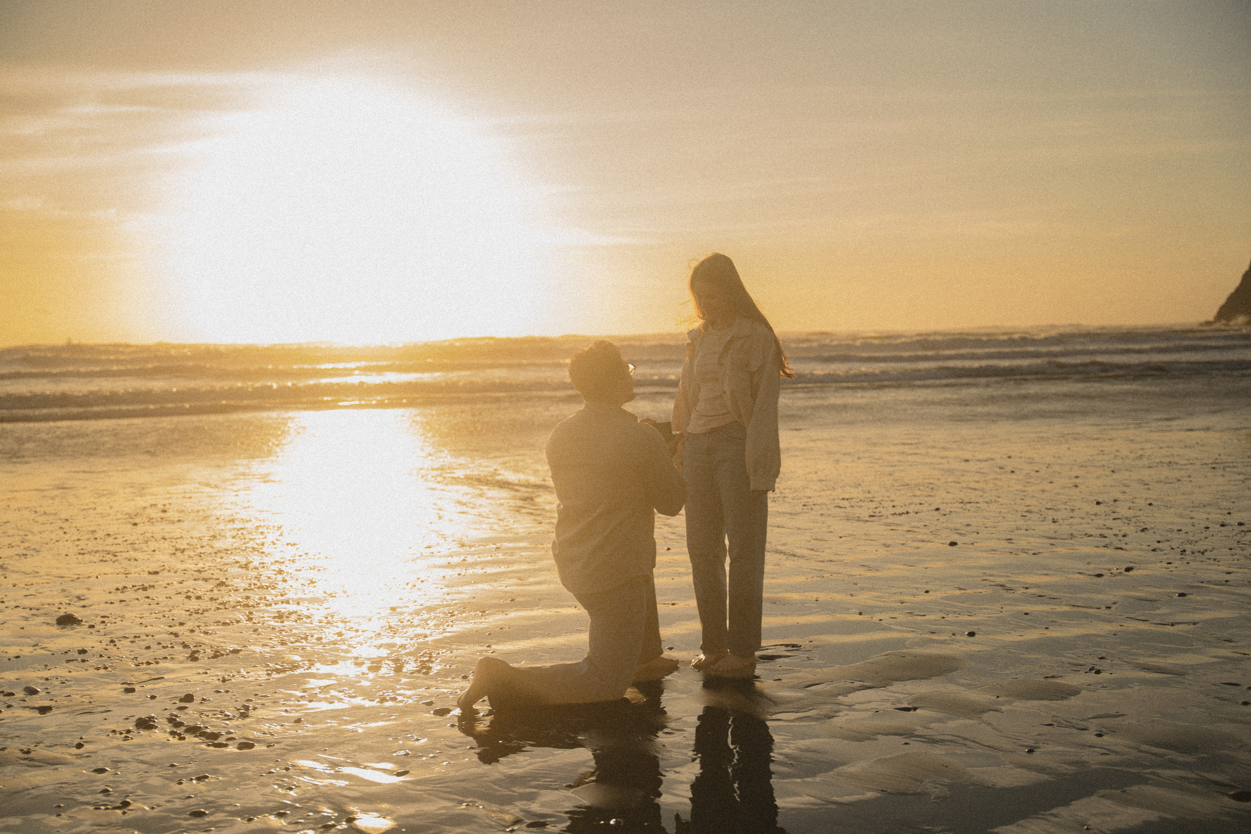 Andrew and Tanya proposal. Photographer in Washington Sophia D