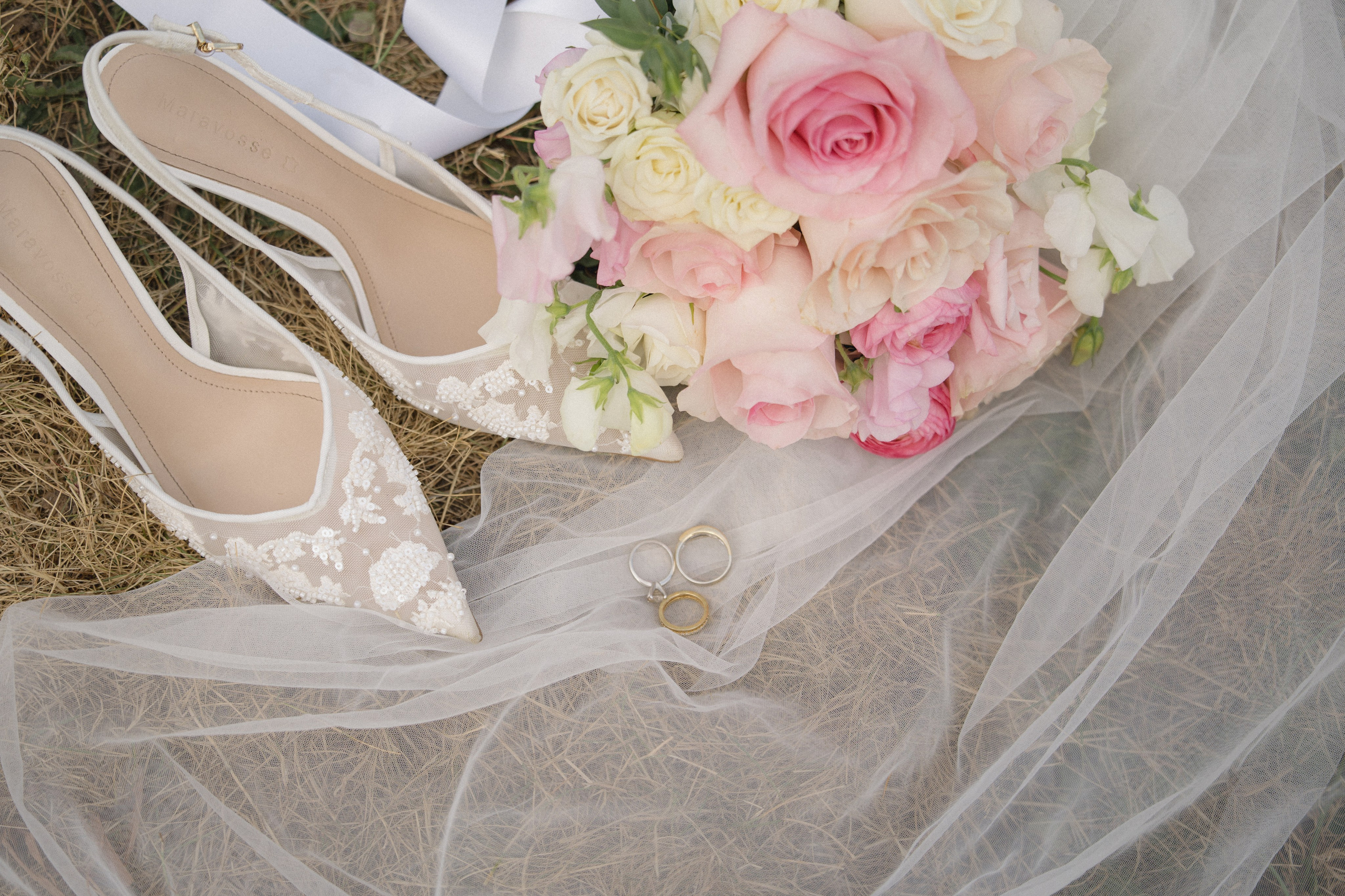 Tim and Ana | Courthouse wedding. Photographer in Washington Sophia D