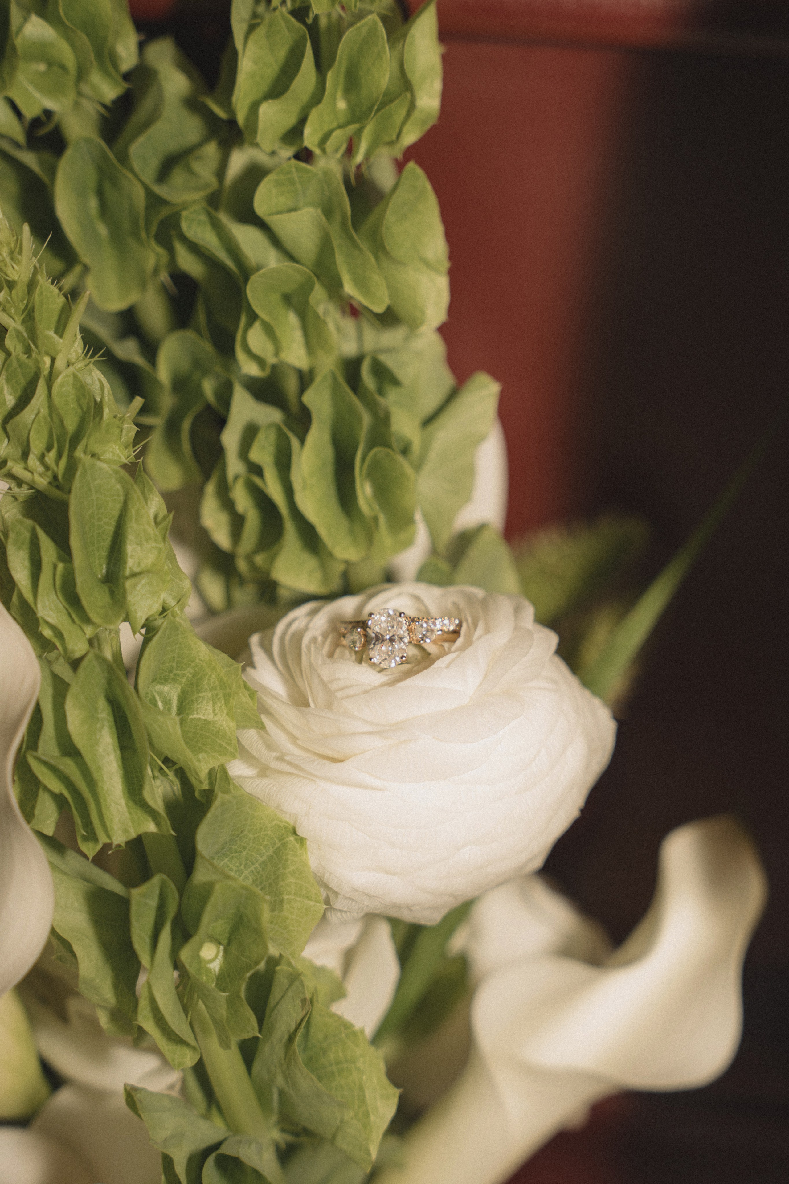 Anthony and Jessica | Intimate wedding. Photographer in Washington Sophia D