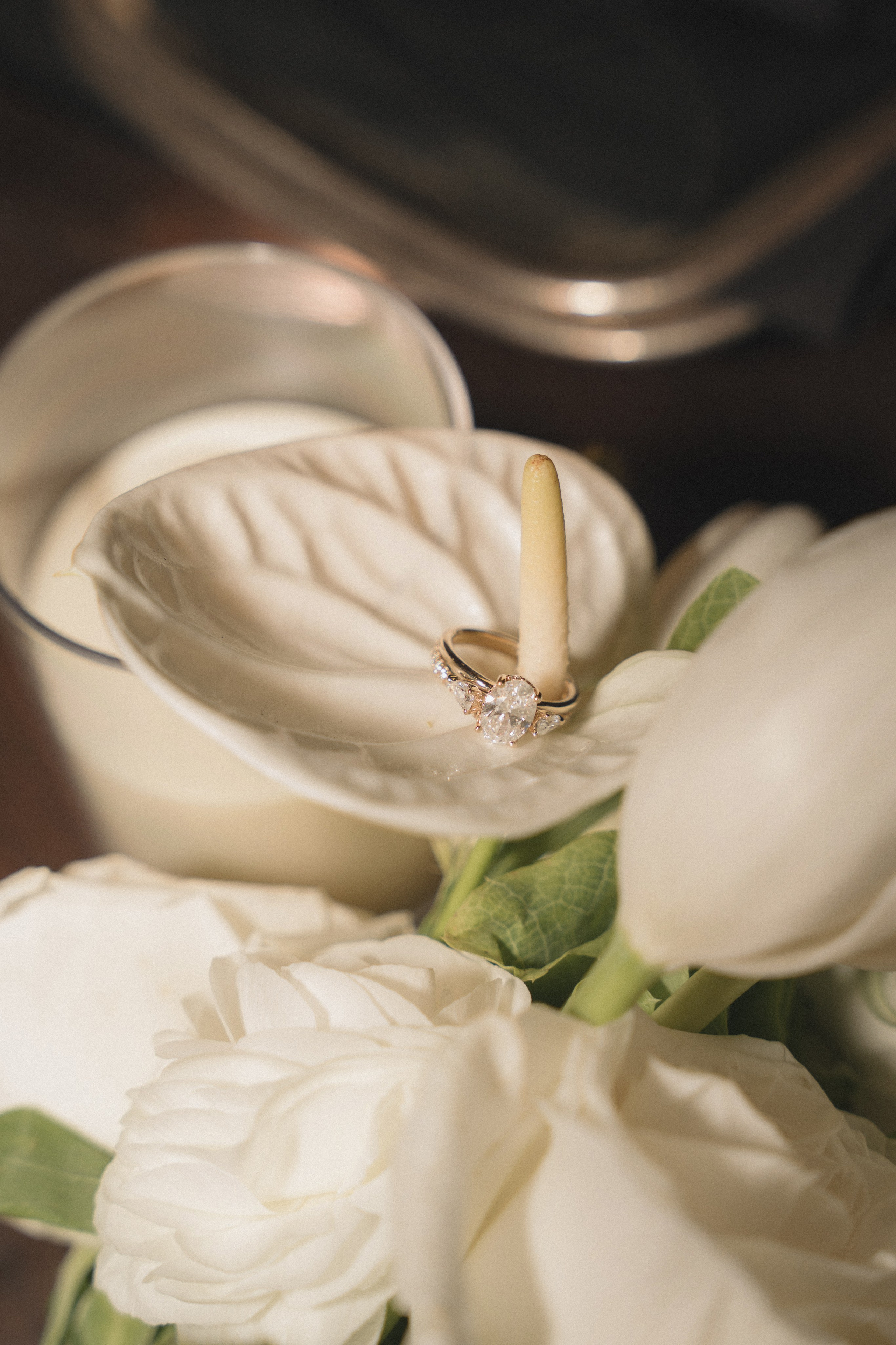 Anthony and Jessica | Intimate wedding. Photographer in Washington Sophia D