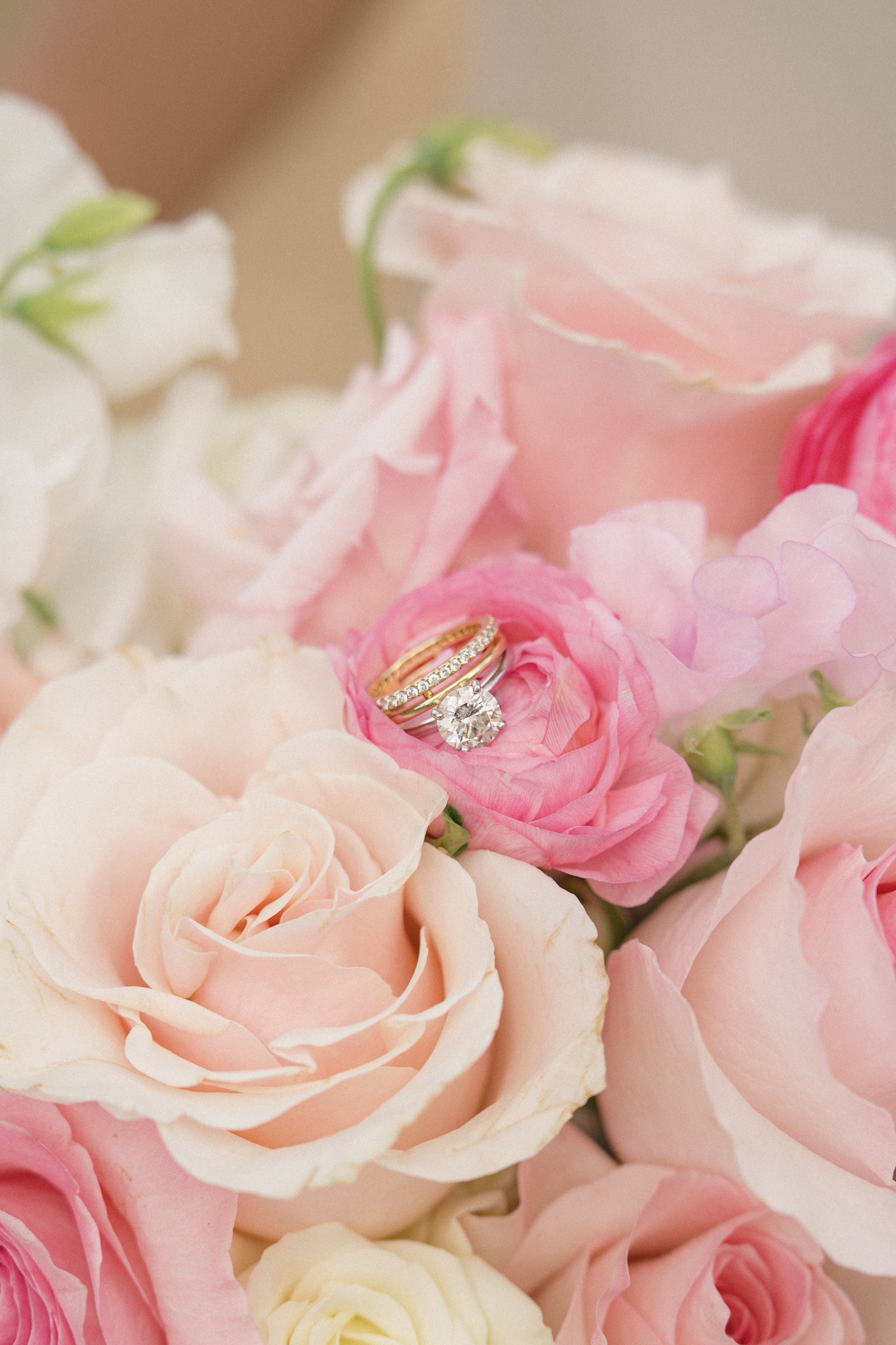 Tim and Ana | Courthouse wedding. Photographer in Washington Sophia D