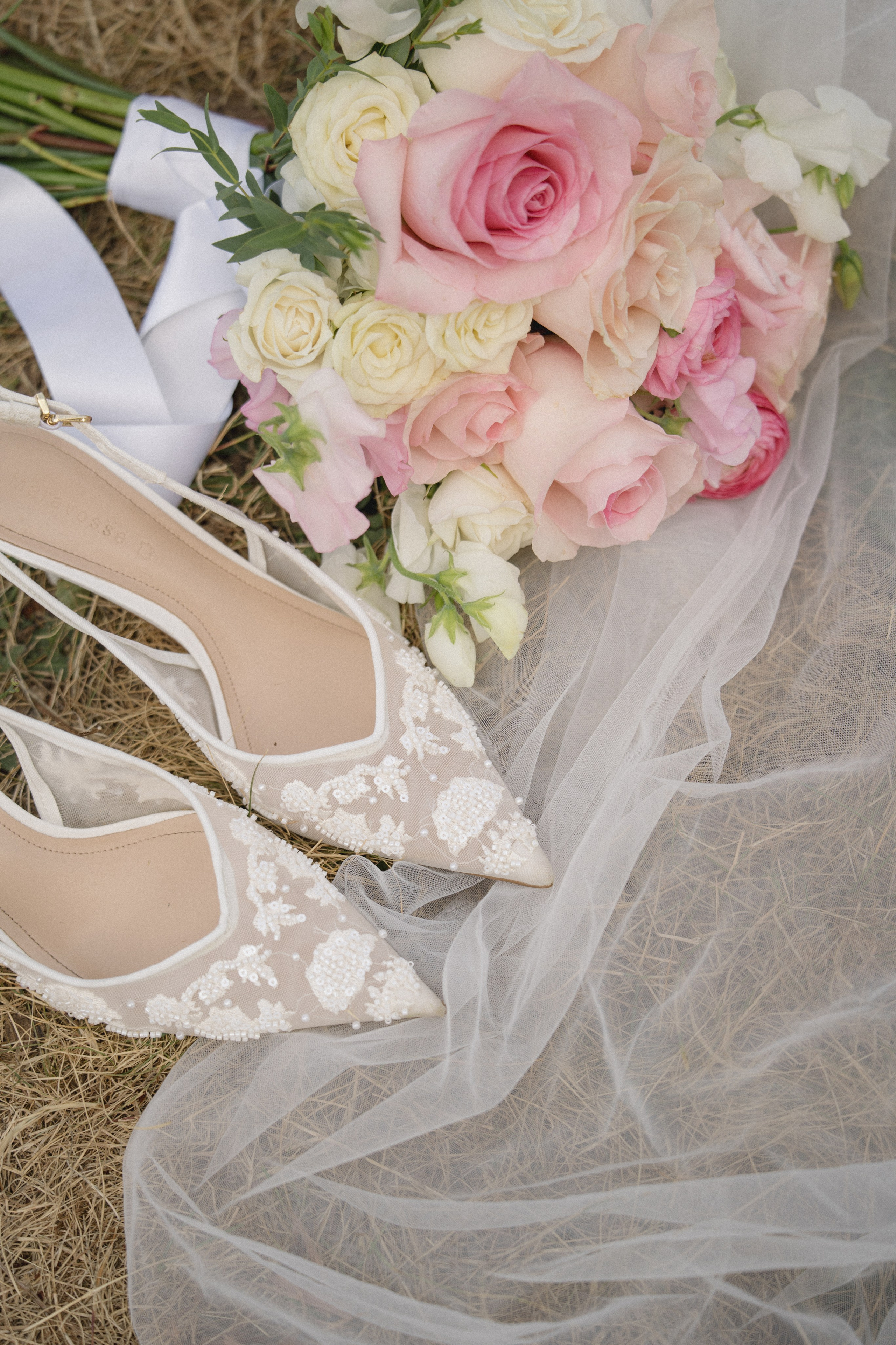 Tim and Ana | Courthouse wedding. Photographer in Washington Sophia D