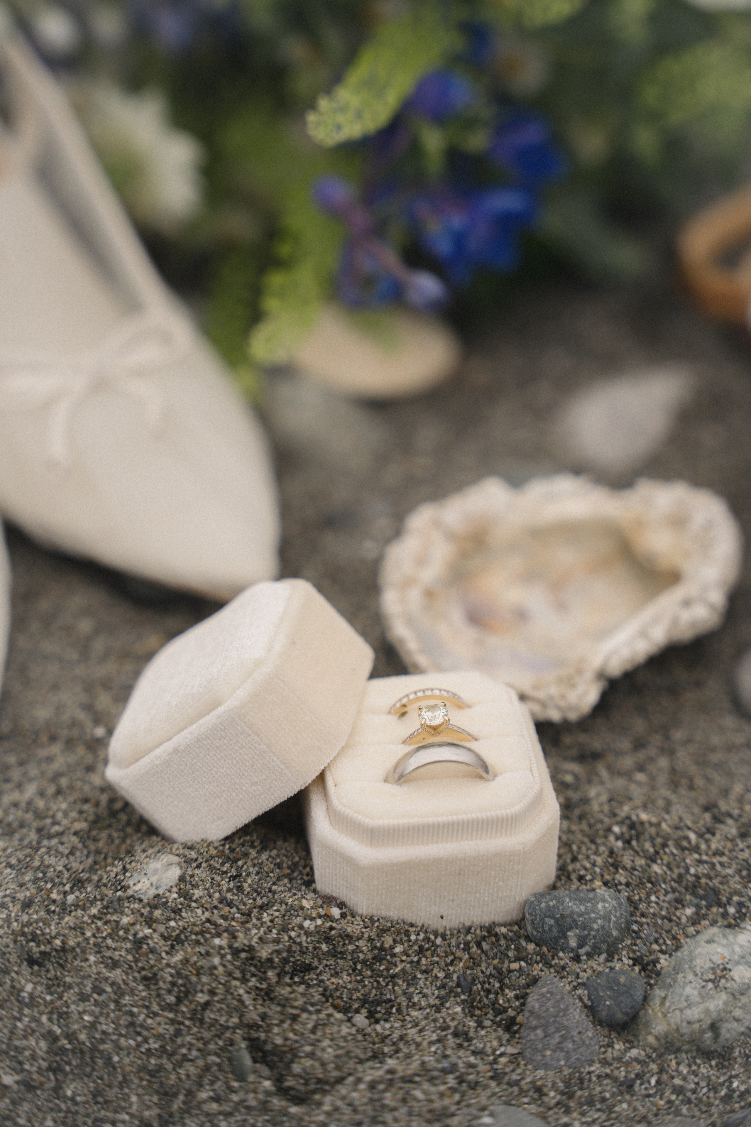 Cherilynn and Thomas | Courthouse wedding. Photographer in Washington Sophia D