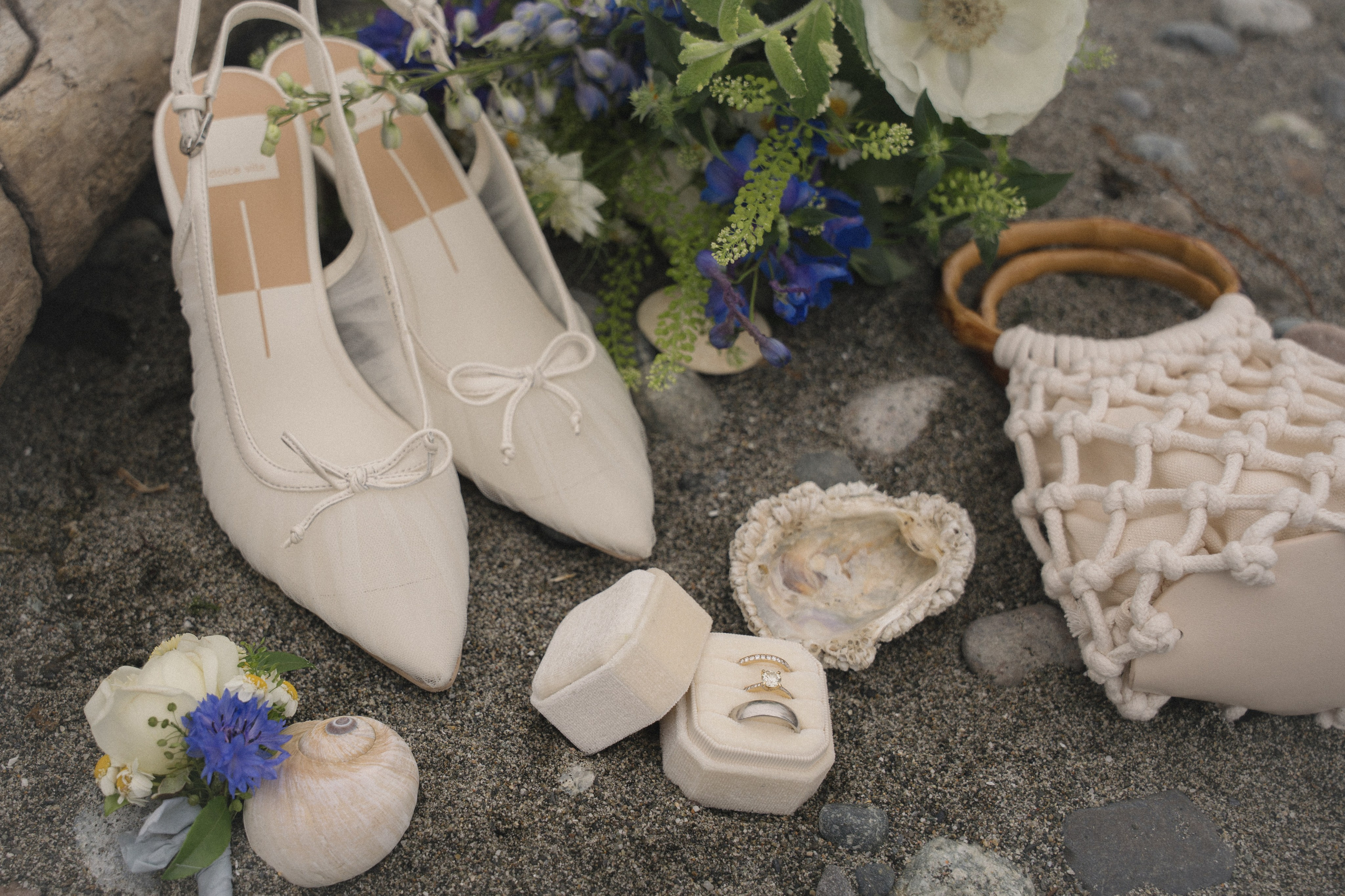 Cherilynn and Thomas | Courthouse wedding. Photographer in Washington Sophia D