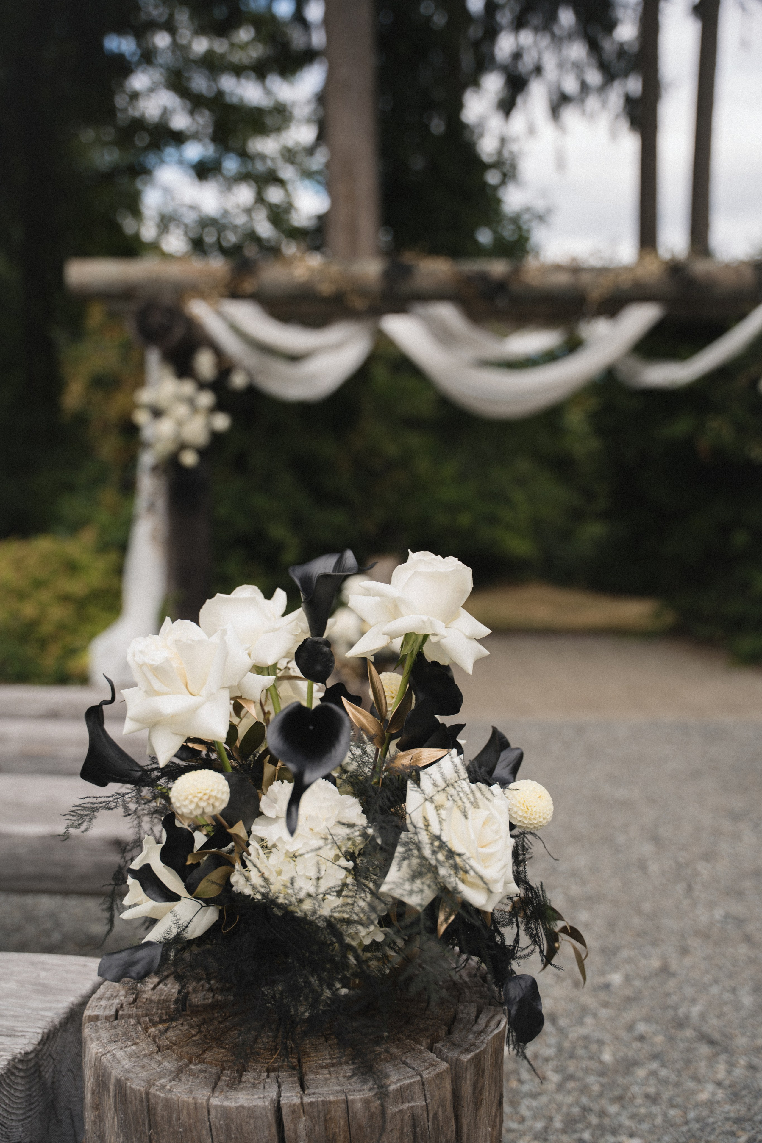 Marcus and Hayley | Full Wedding day. Photographer in Washington Sophia D