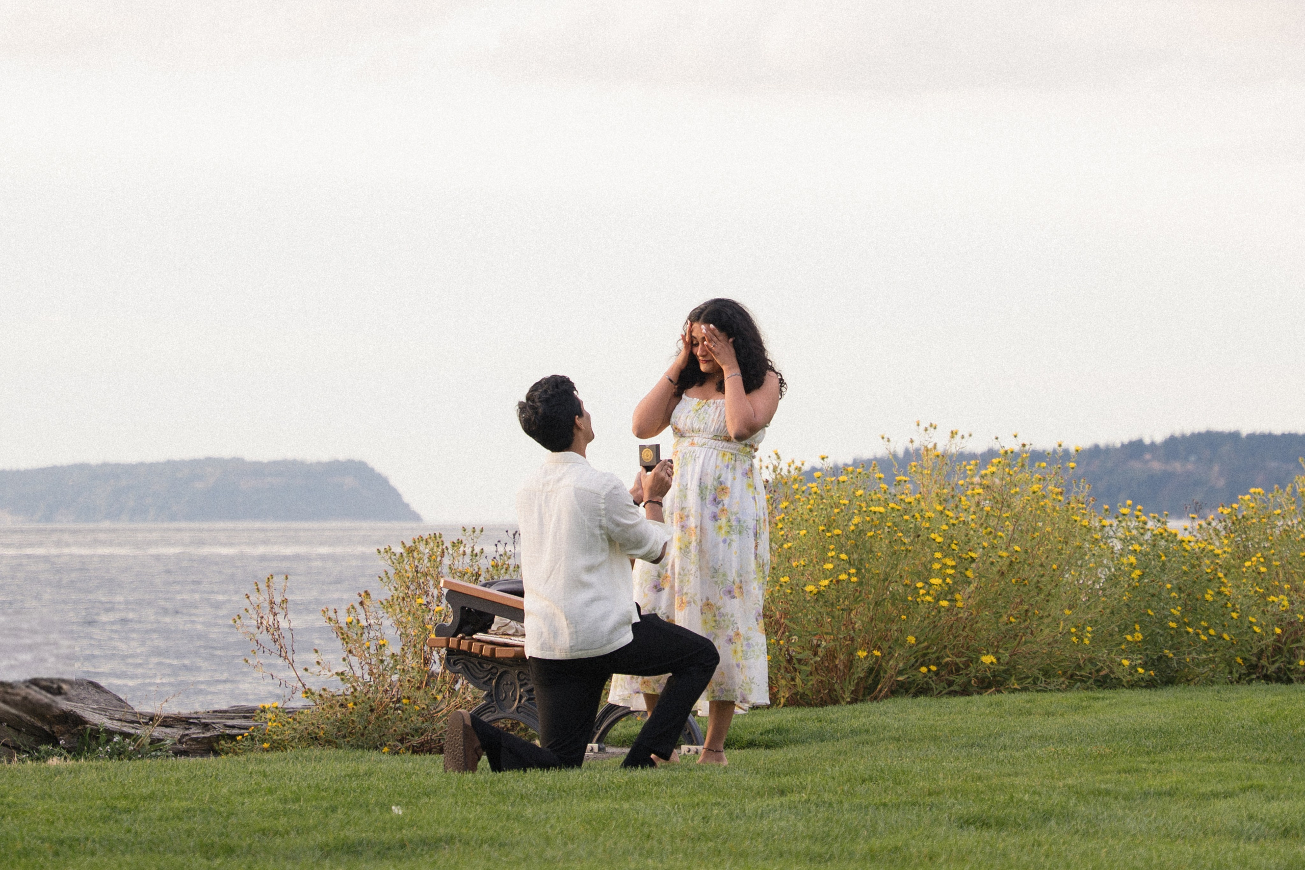 Raghav and Ananya proposal. Photographer in Washington Sophia D
