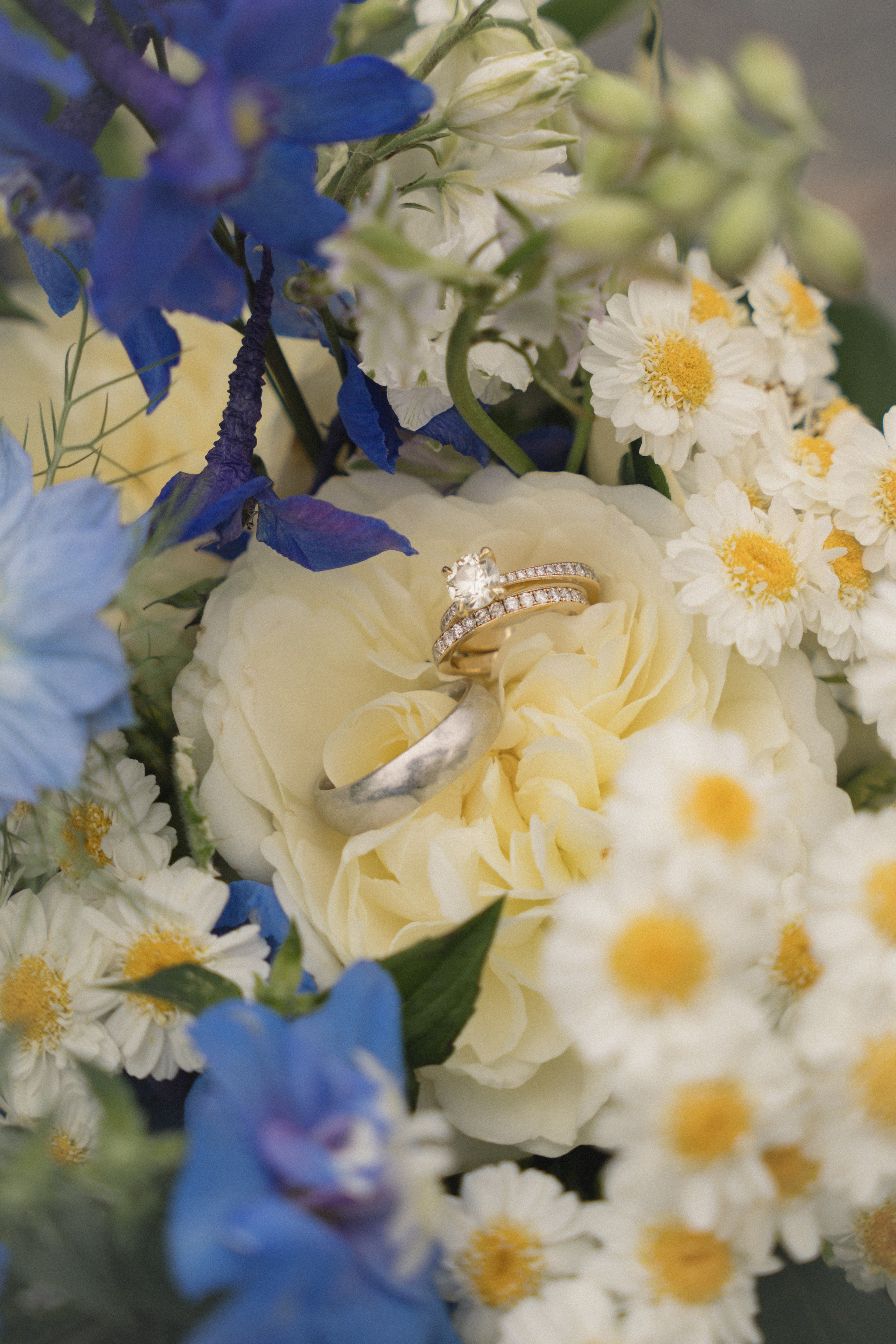 Cherilynn and Thomas | Courthouse wedding. Photographer in Washington Sophia D