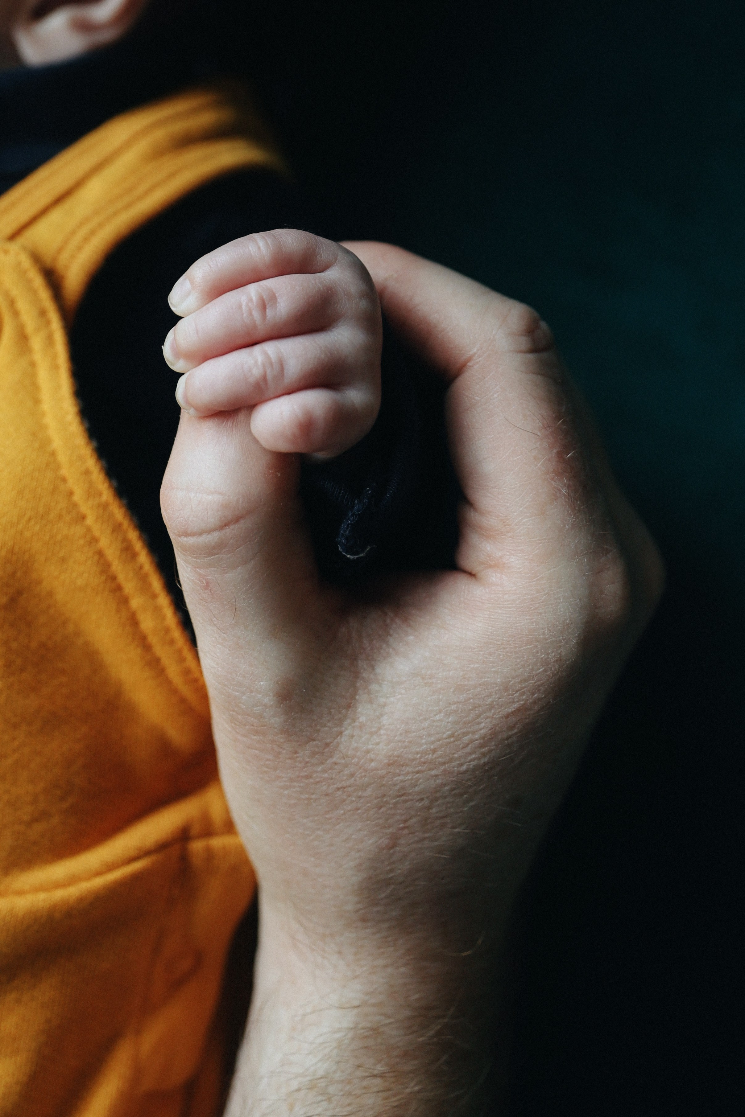 Robin. Newborn and Family Photographer in Bromley, London, Liliya Potekhina