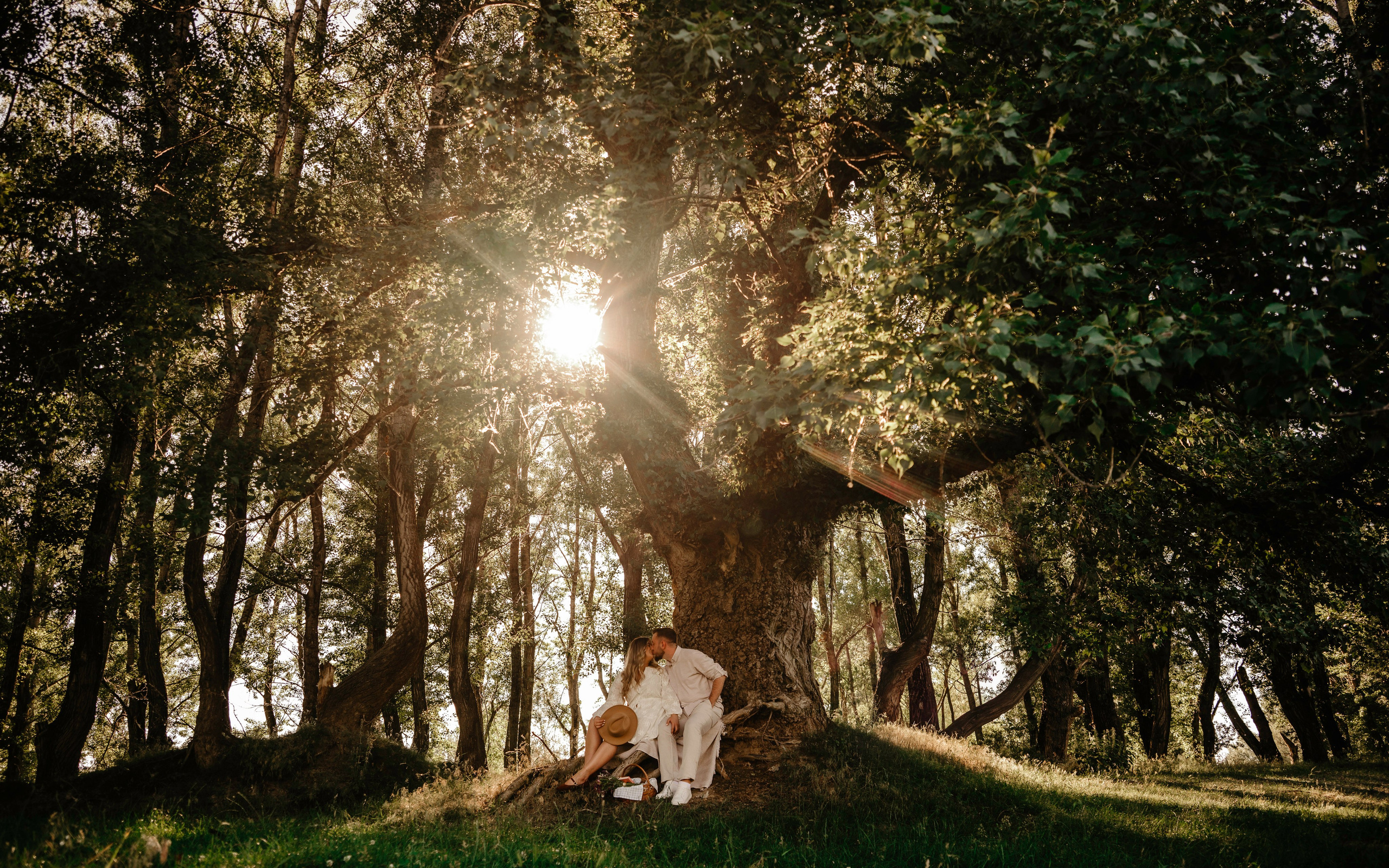 🤎 M a r i u s  & I u l i a n a - Save the Date. Wedding & Family Photographer