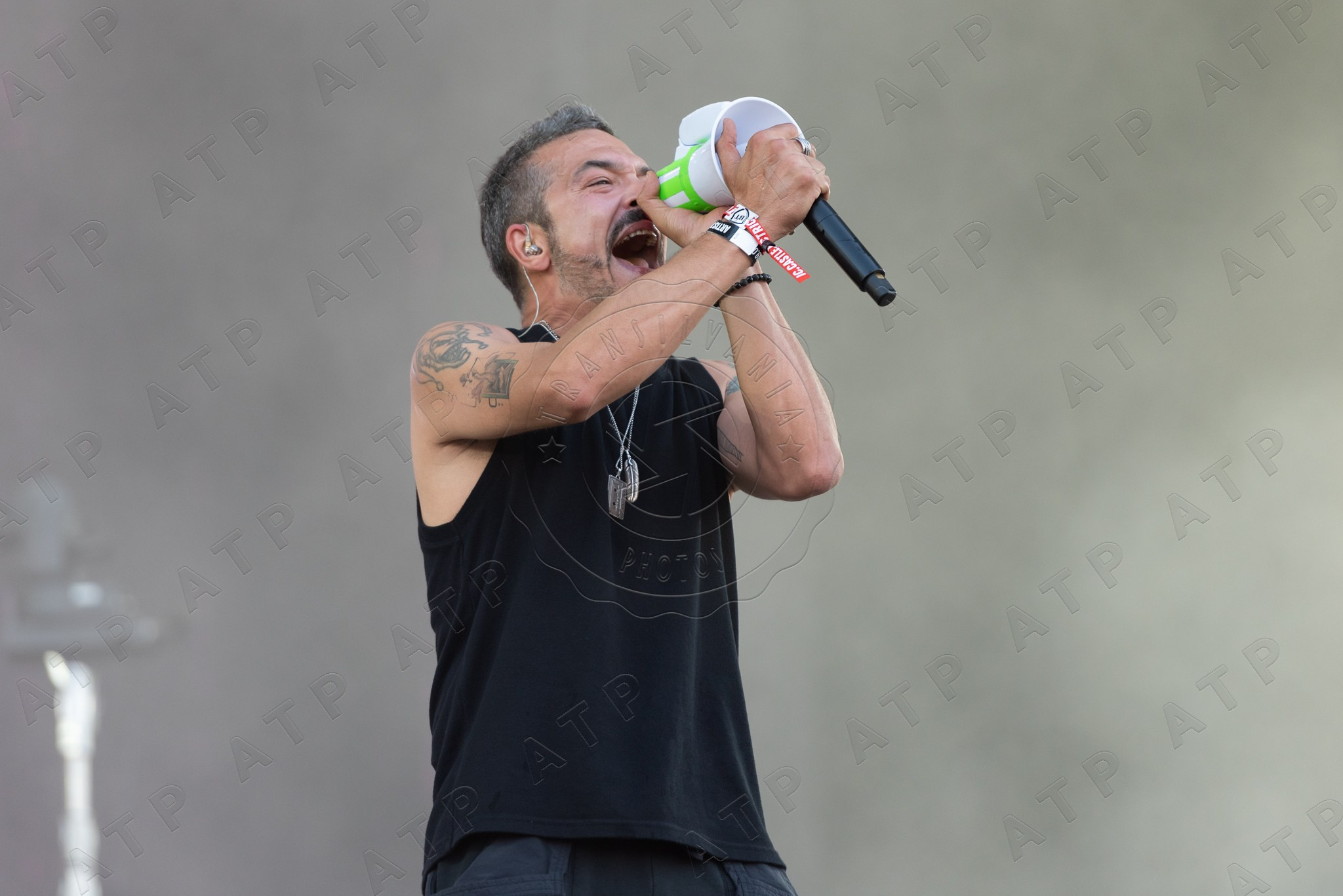 Concert. Vescan Pictures - fotografie de eveniment