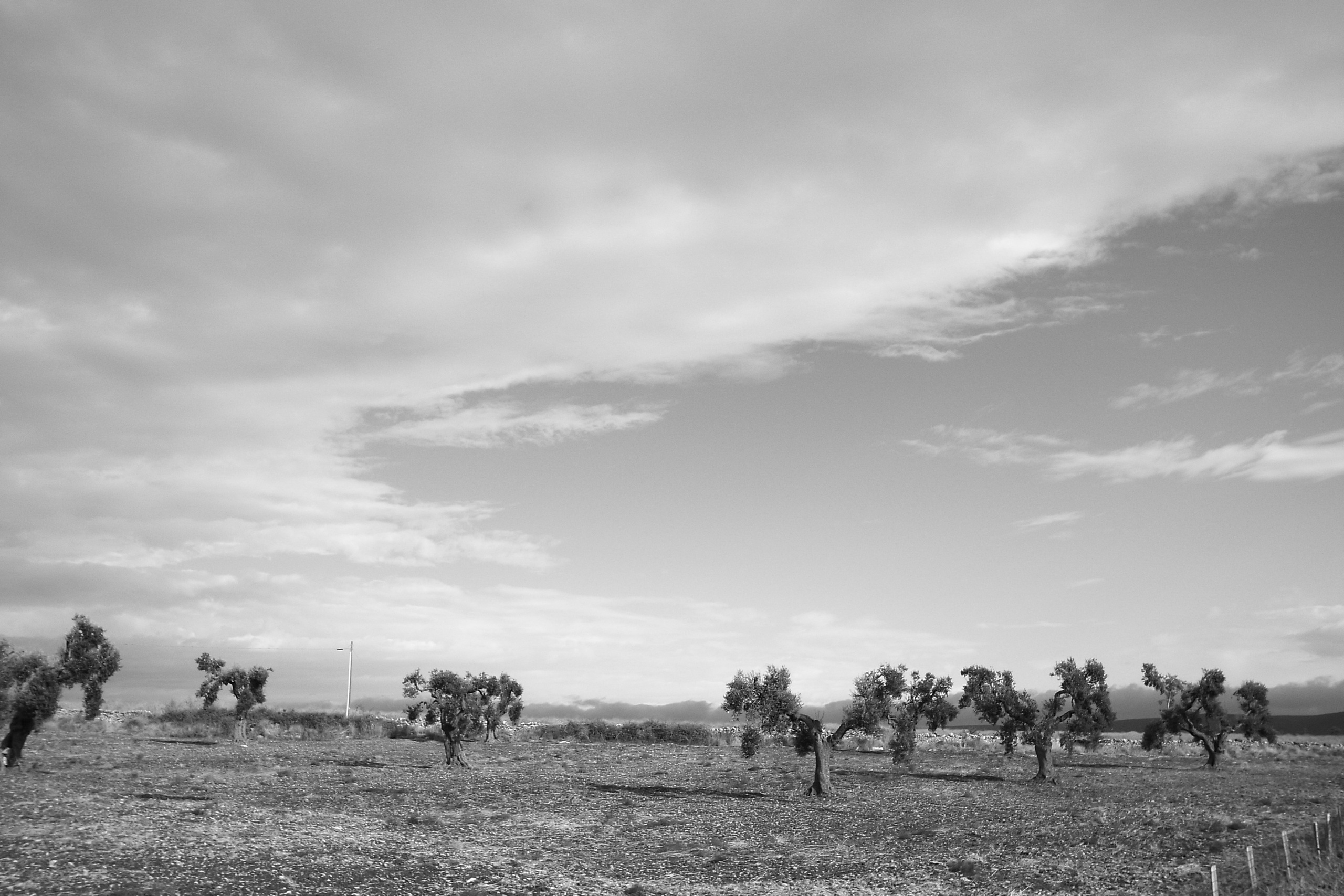 Marco Greco Architectural and interiors photographer based in Apulia Italy Fotografo di architettura interni Puglia B&B Case vacanze Hotel