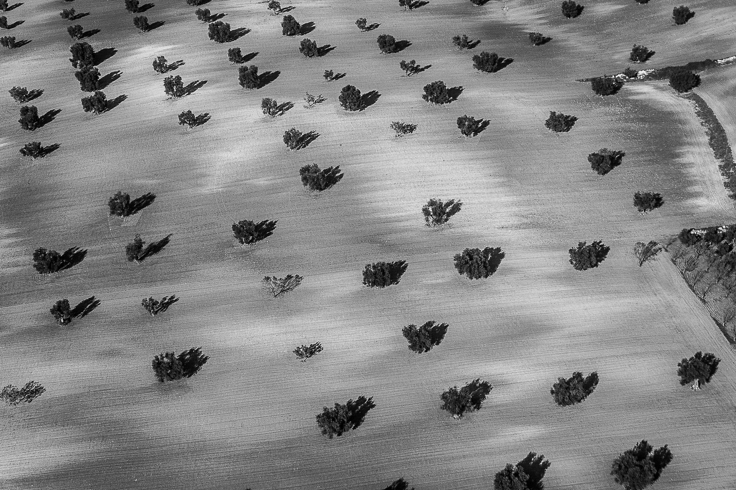 Aerial views of Puglia