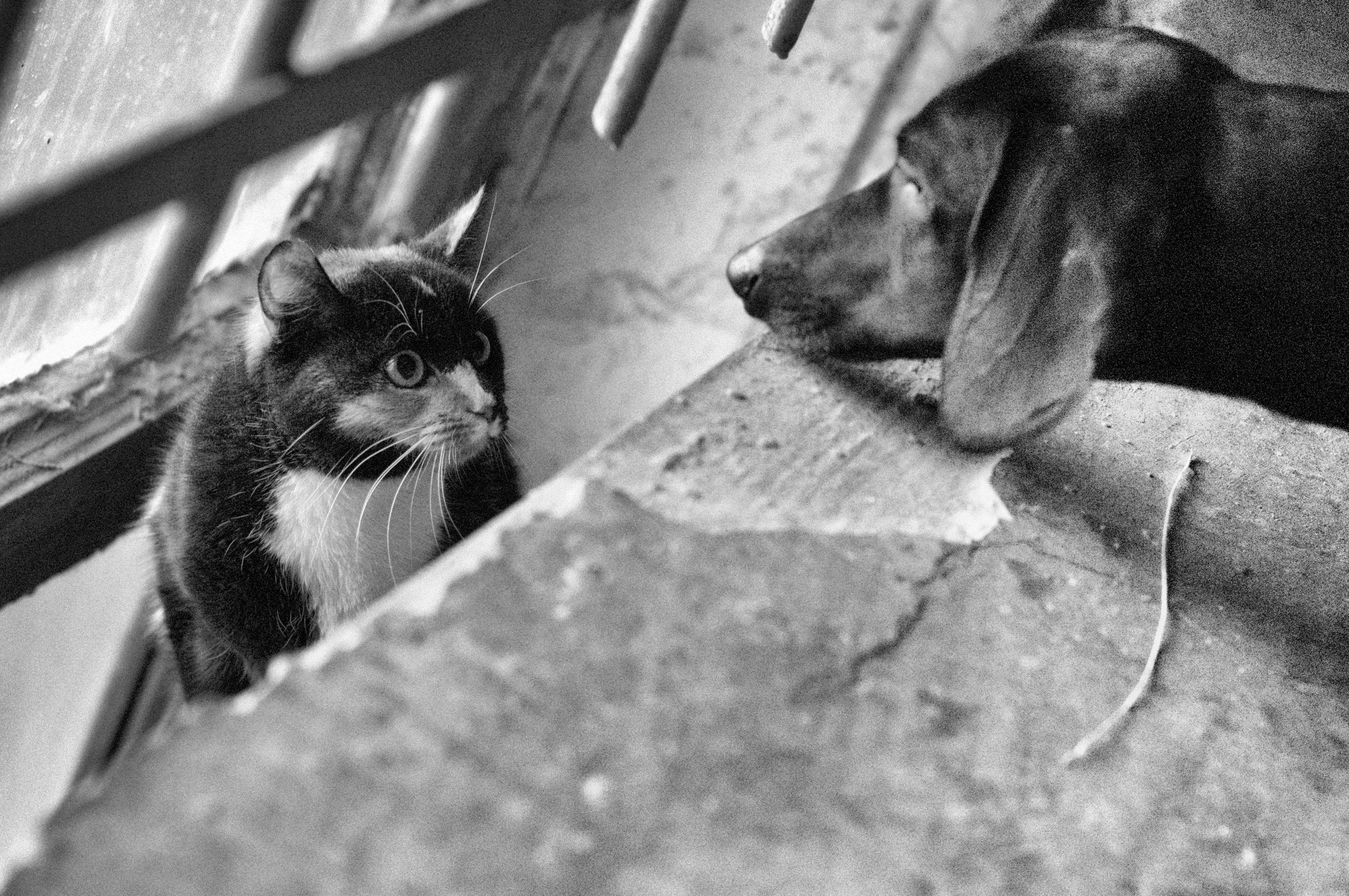 Работы учеников. Фотограф и преподаватель фотографии в Белграде